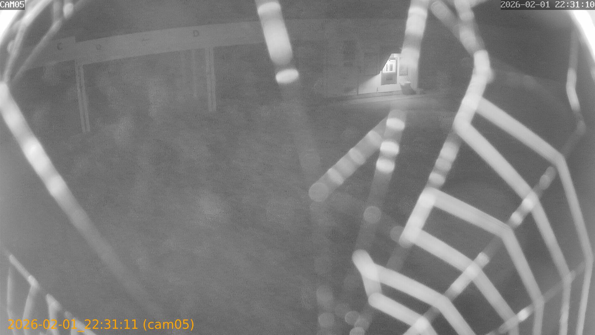 thumbnail_20260201223111