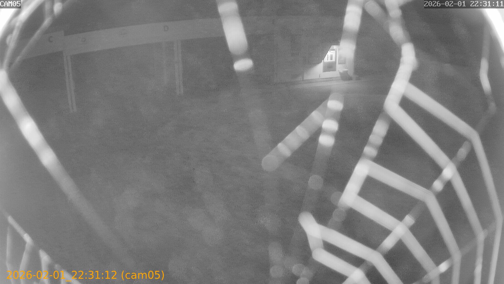 thumbnail_20260201223112