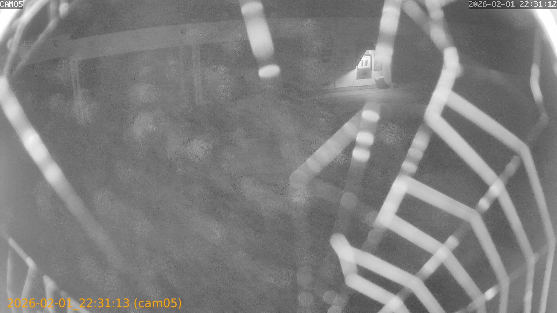 thumbnail_20260201223113