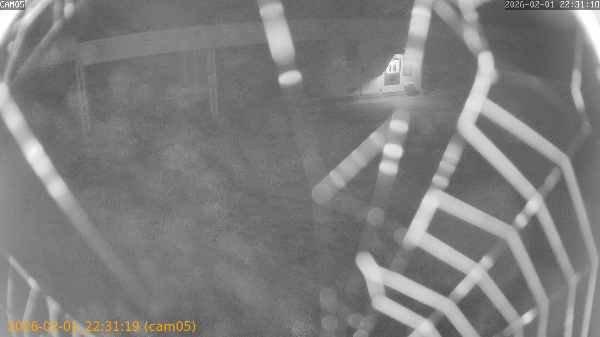 thumbnail_20260201223119