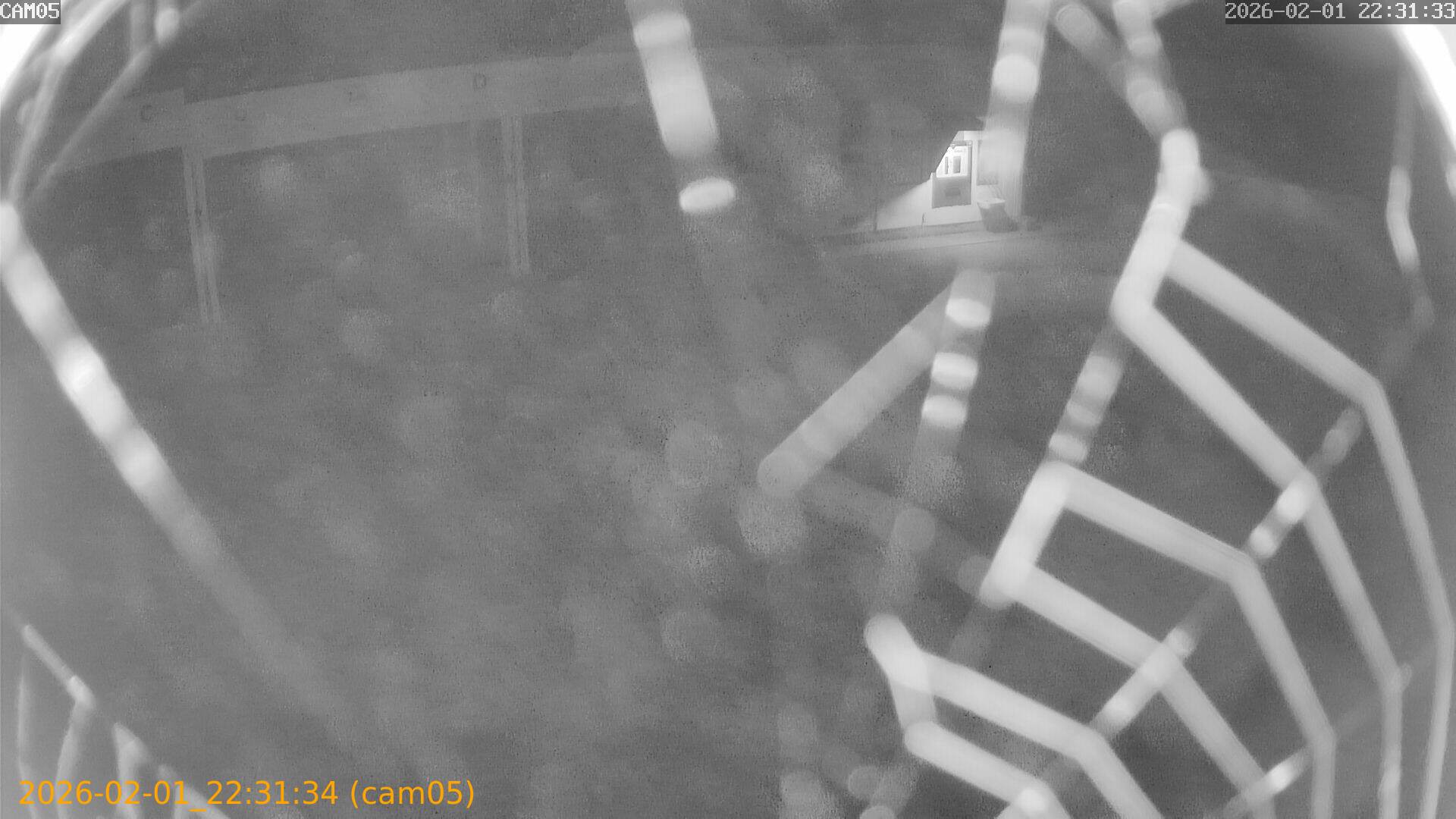 thumbnail_20260201223134