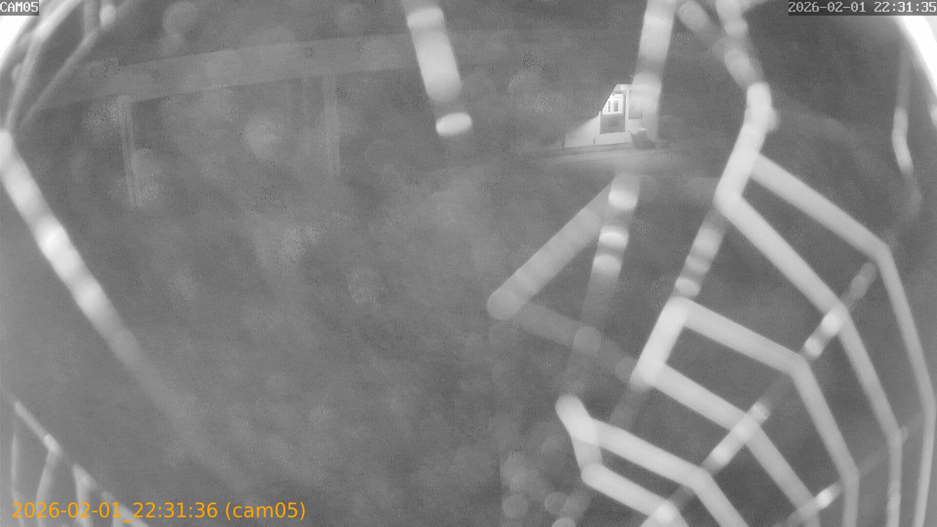 thumbnail_20260201223136