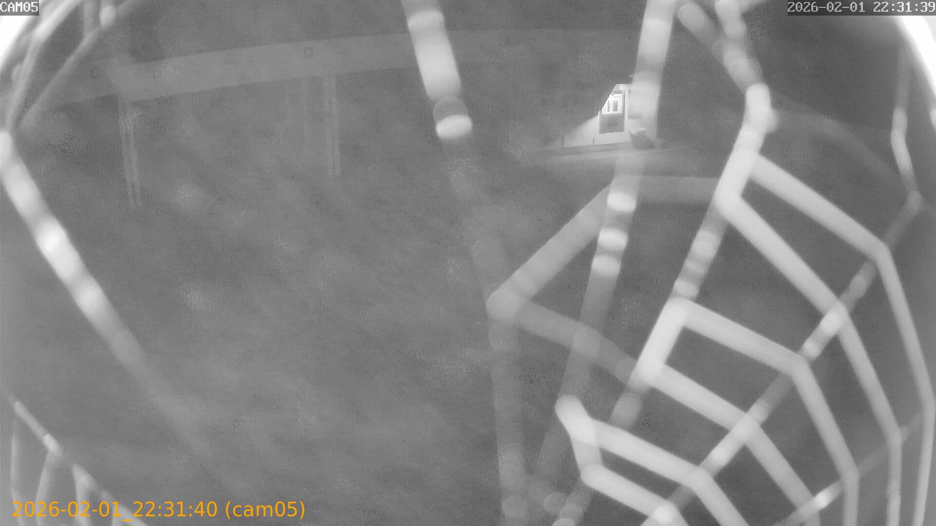 thumbnail_20260201223140