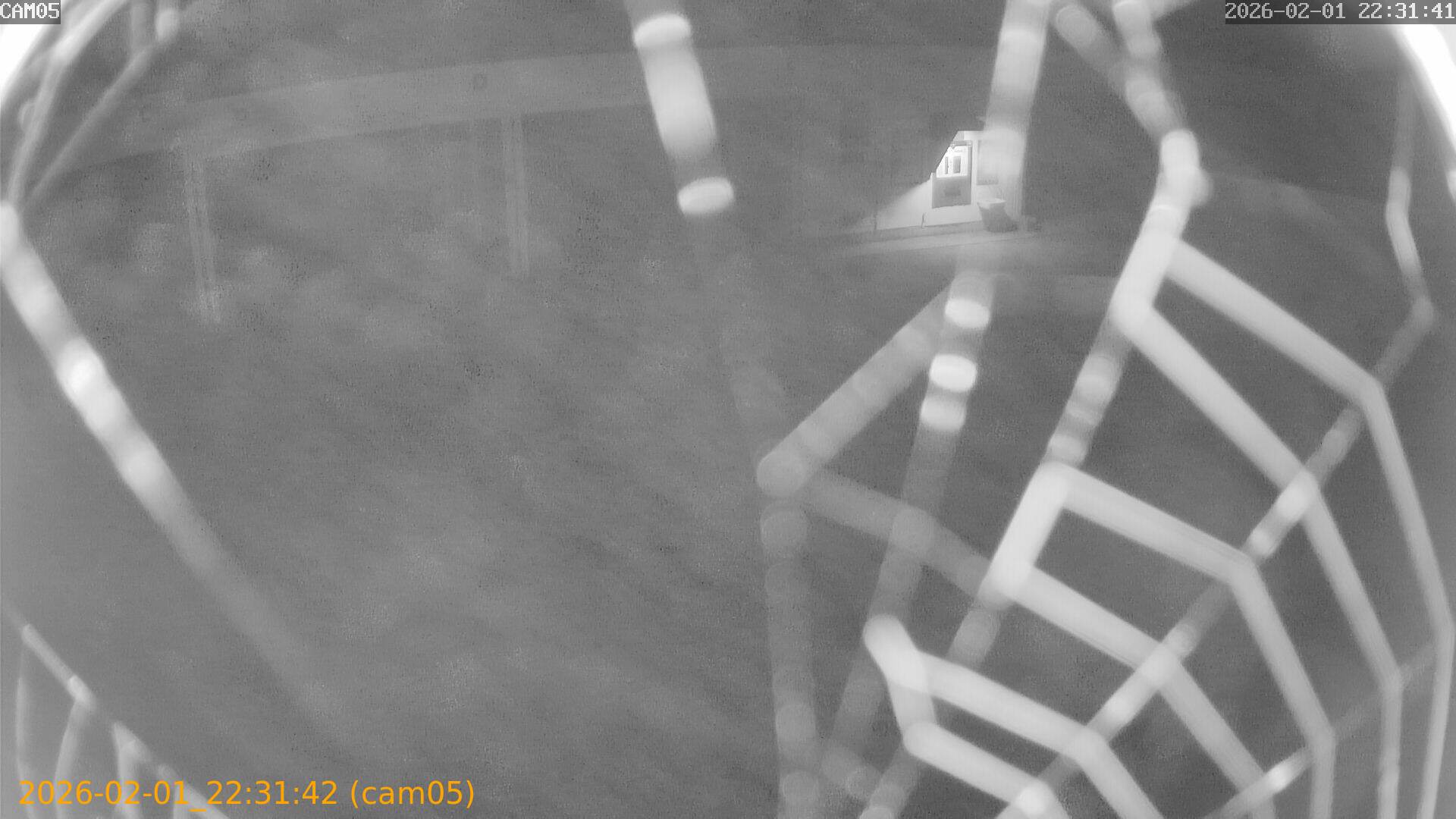 thumbnail_20260201223142