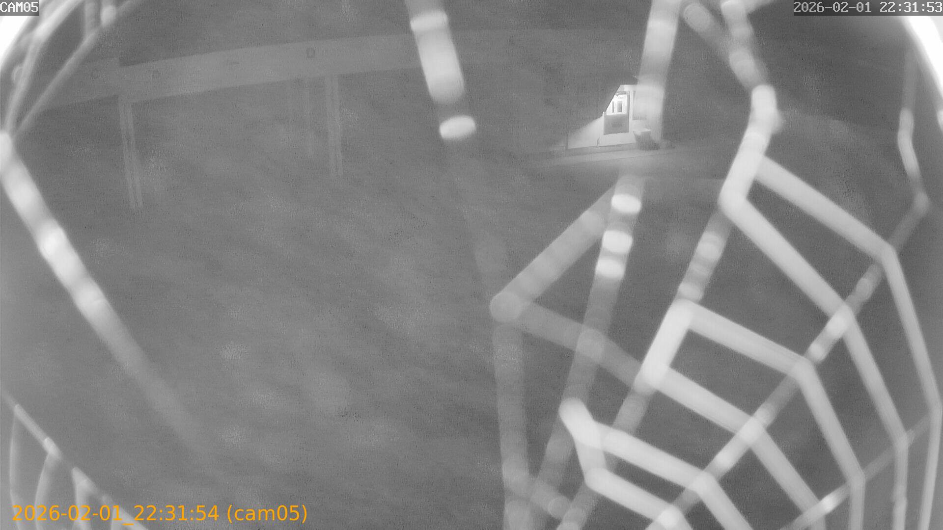 thumbnail_20260201223154