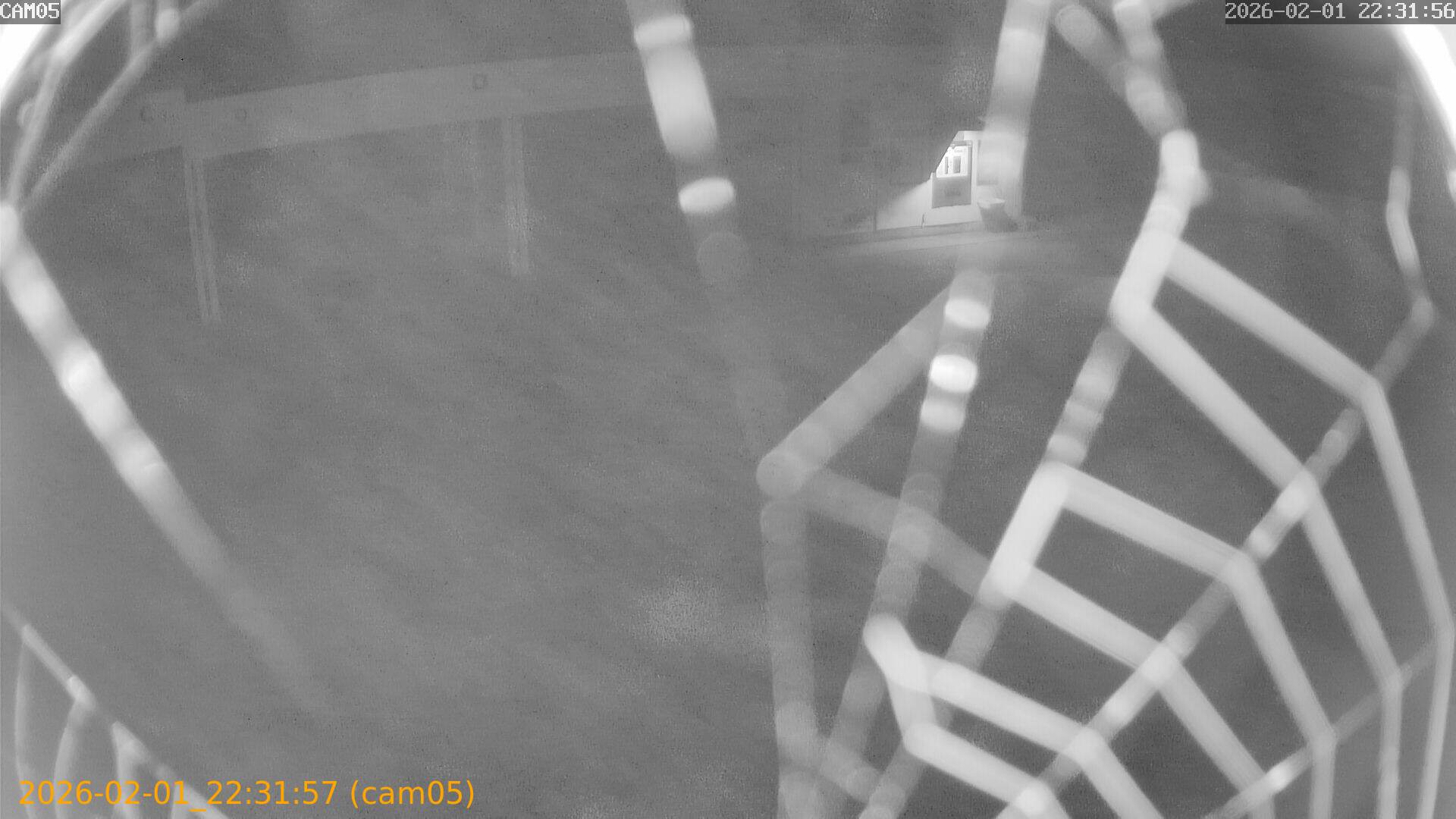 thumbnail_20260201223157