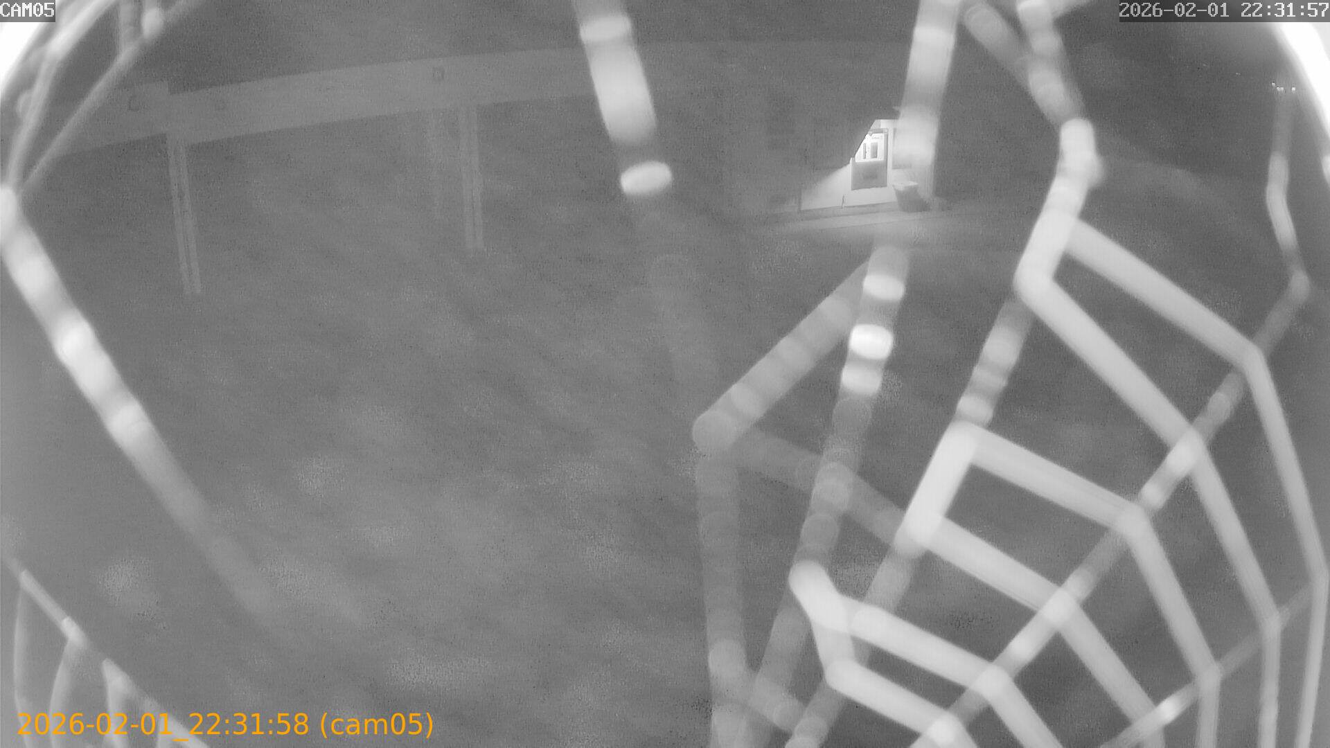 thumbnail_20260201223158