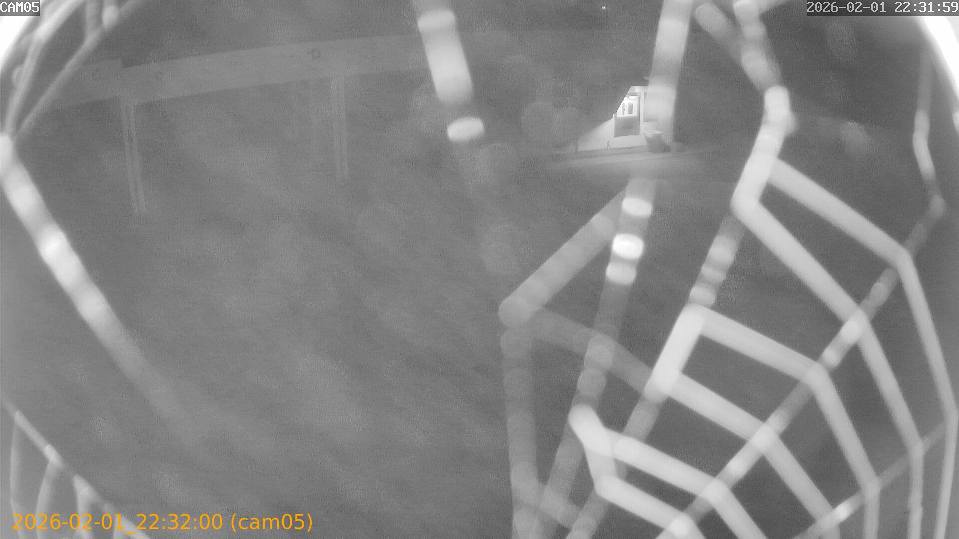 thumbnail_20260201223200