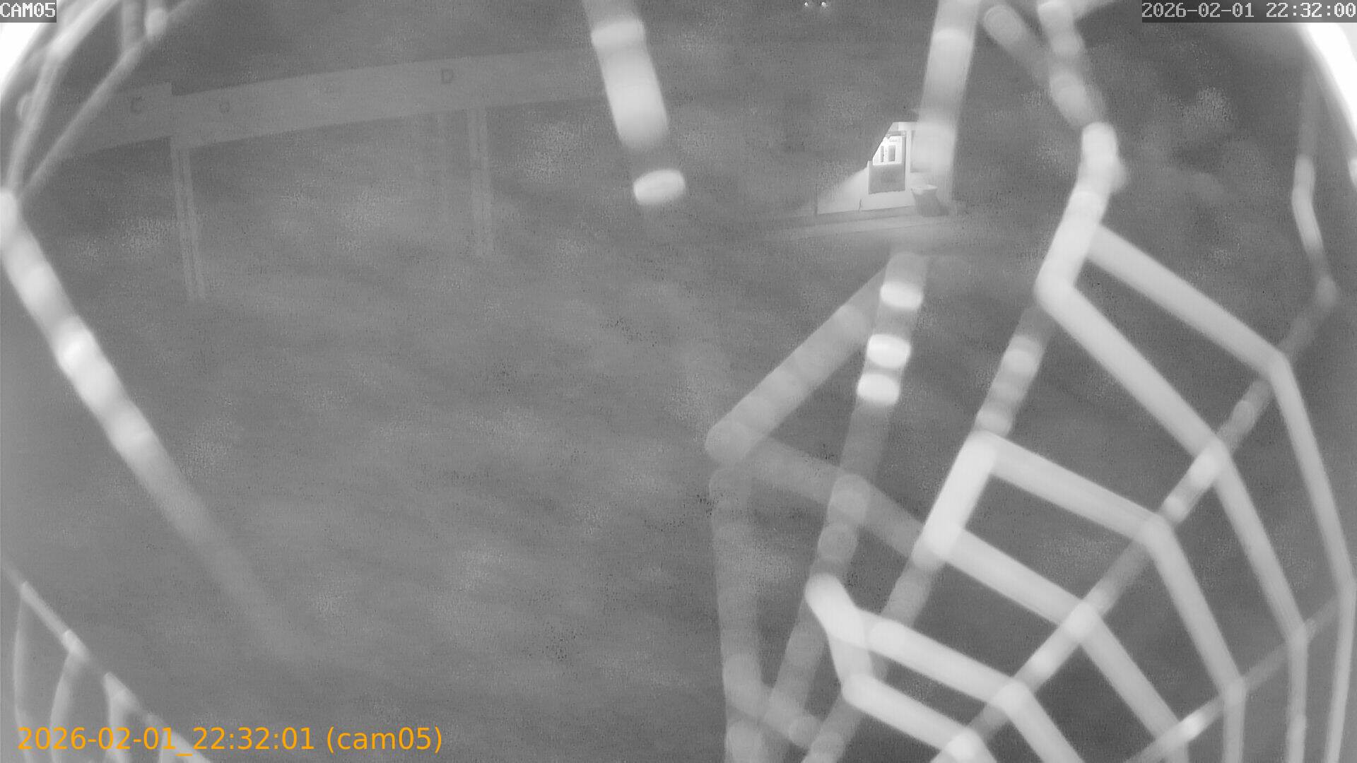 thumbnail_20260201223201