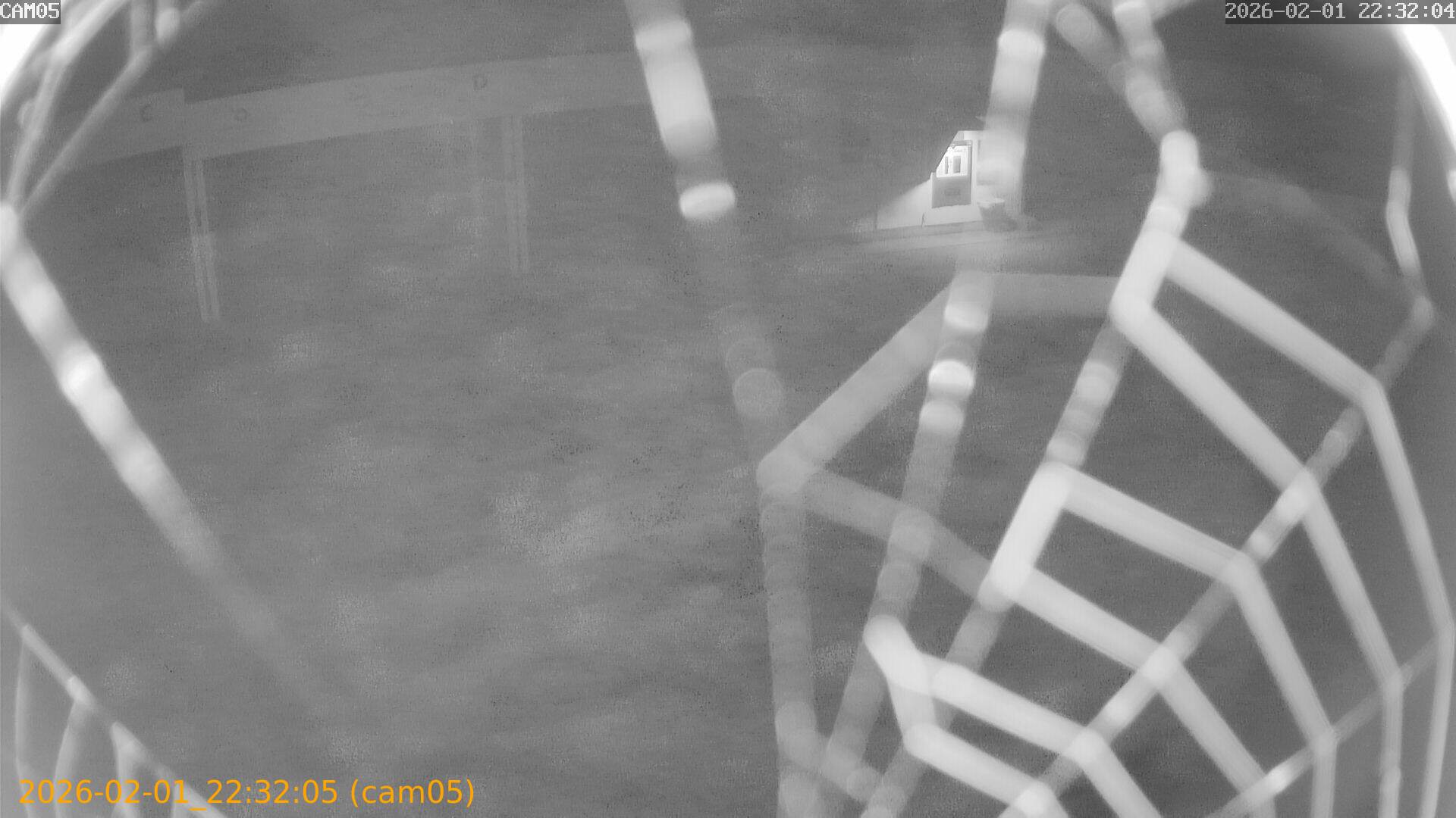 thumbnail_20260201223205