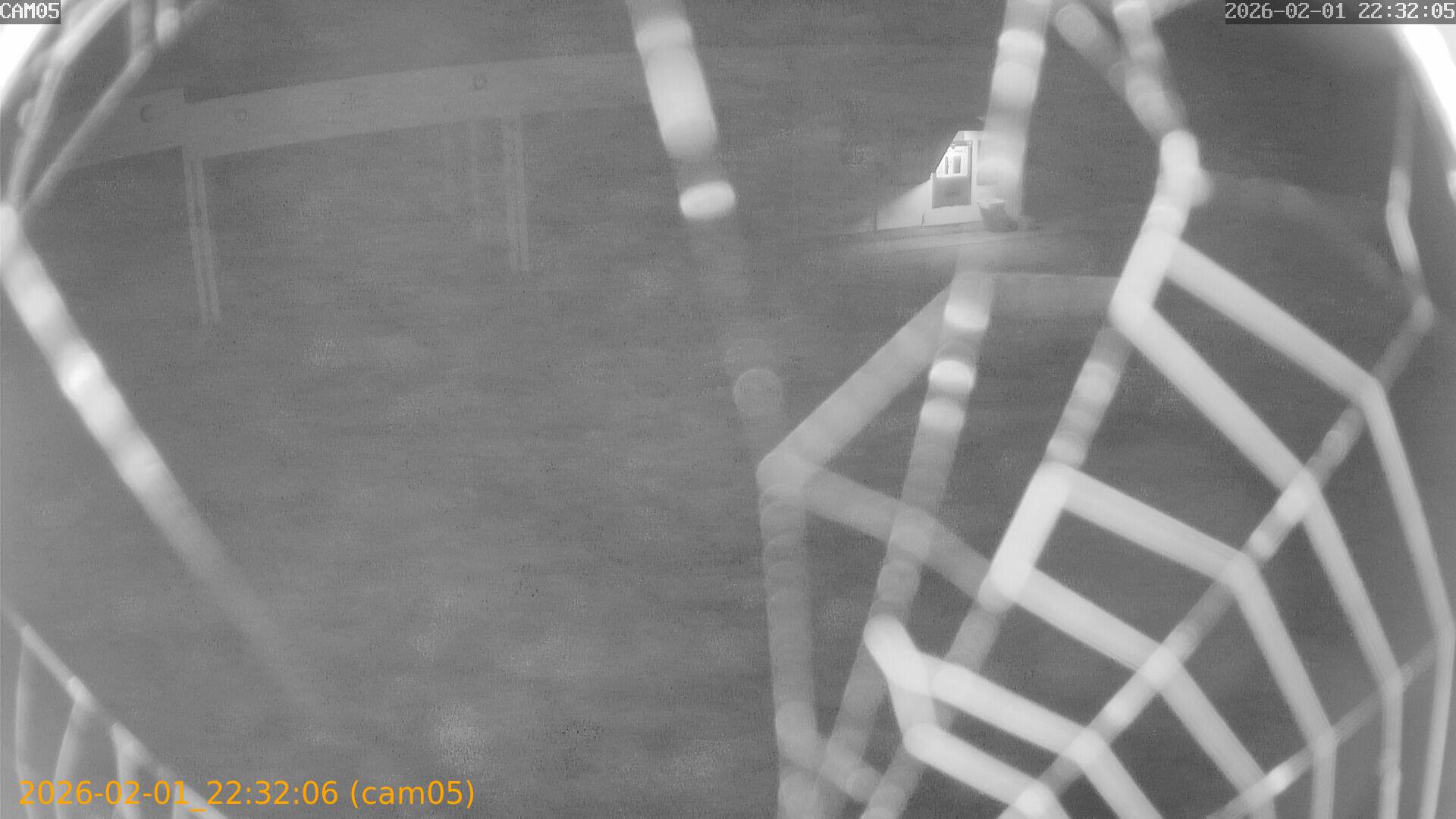 thumbnail_20260201223206