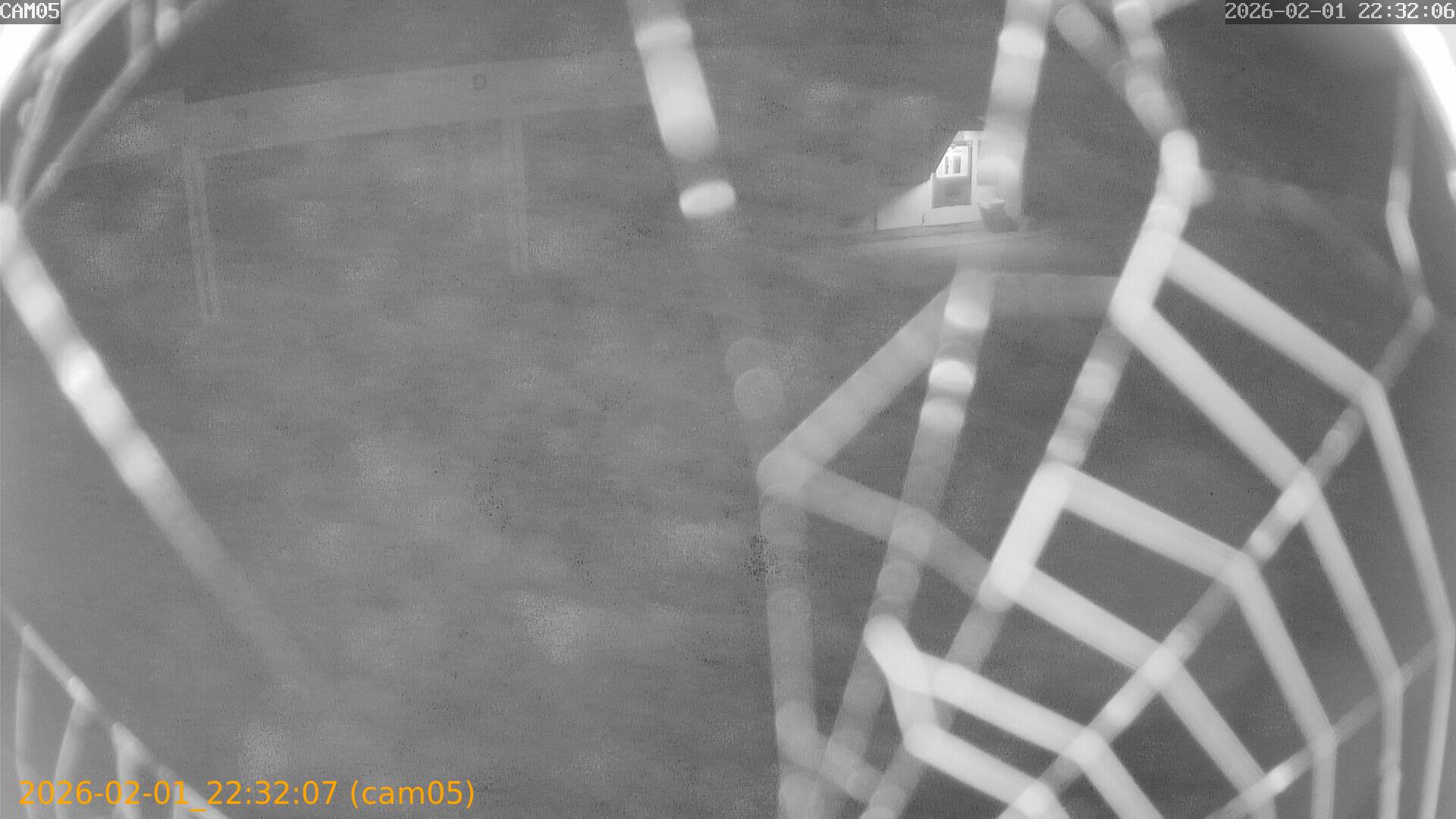 thumbnail_20260201223207