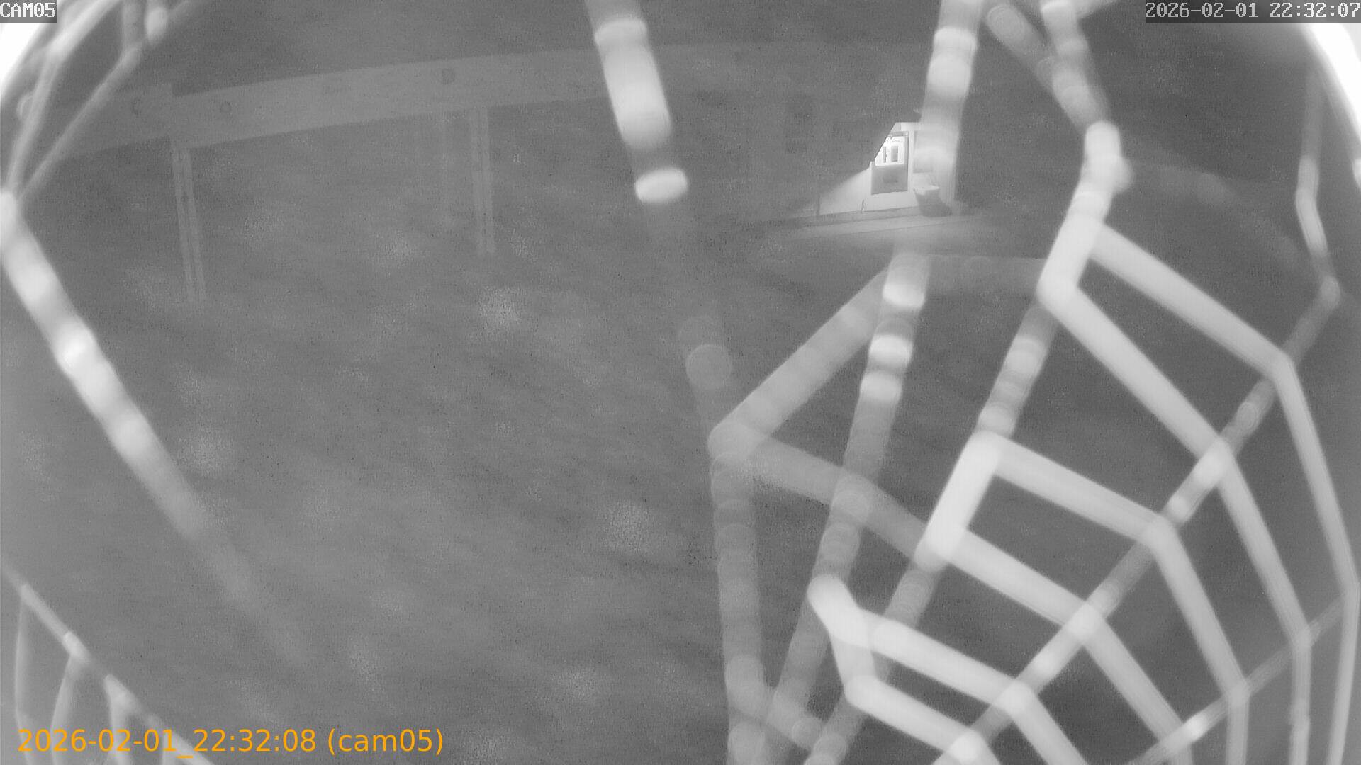 thumbnail_20260201223208