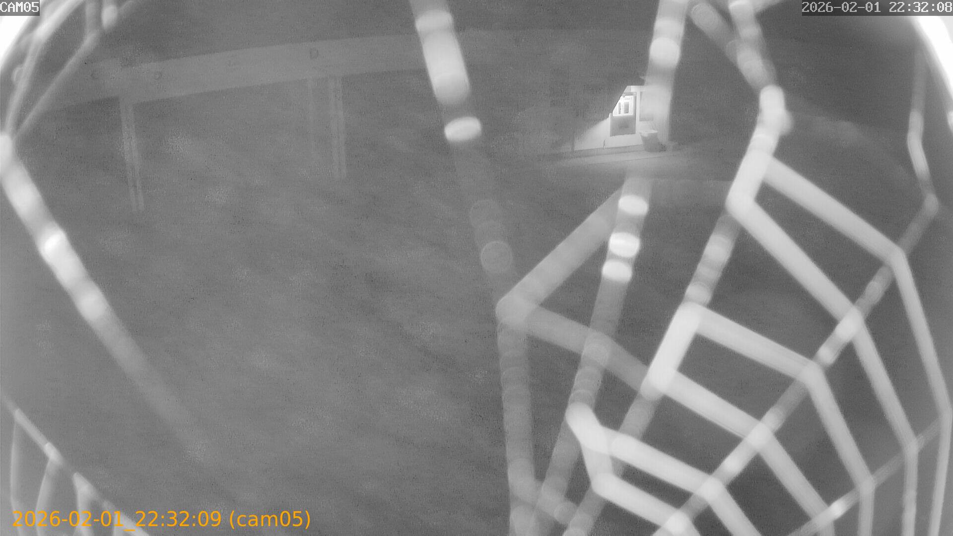 thumbnail_20260201223209