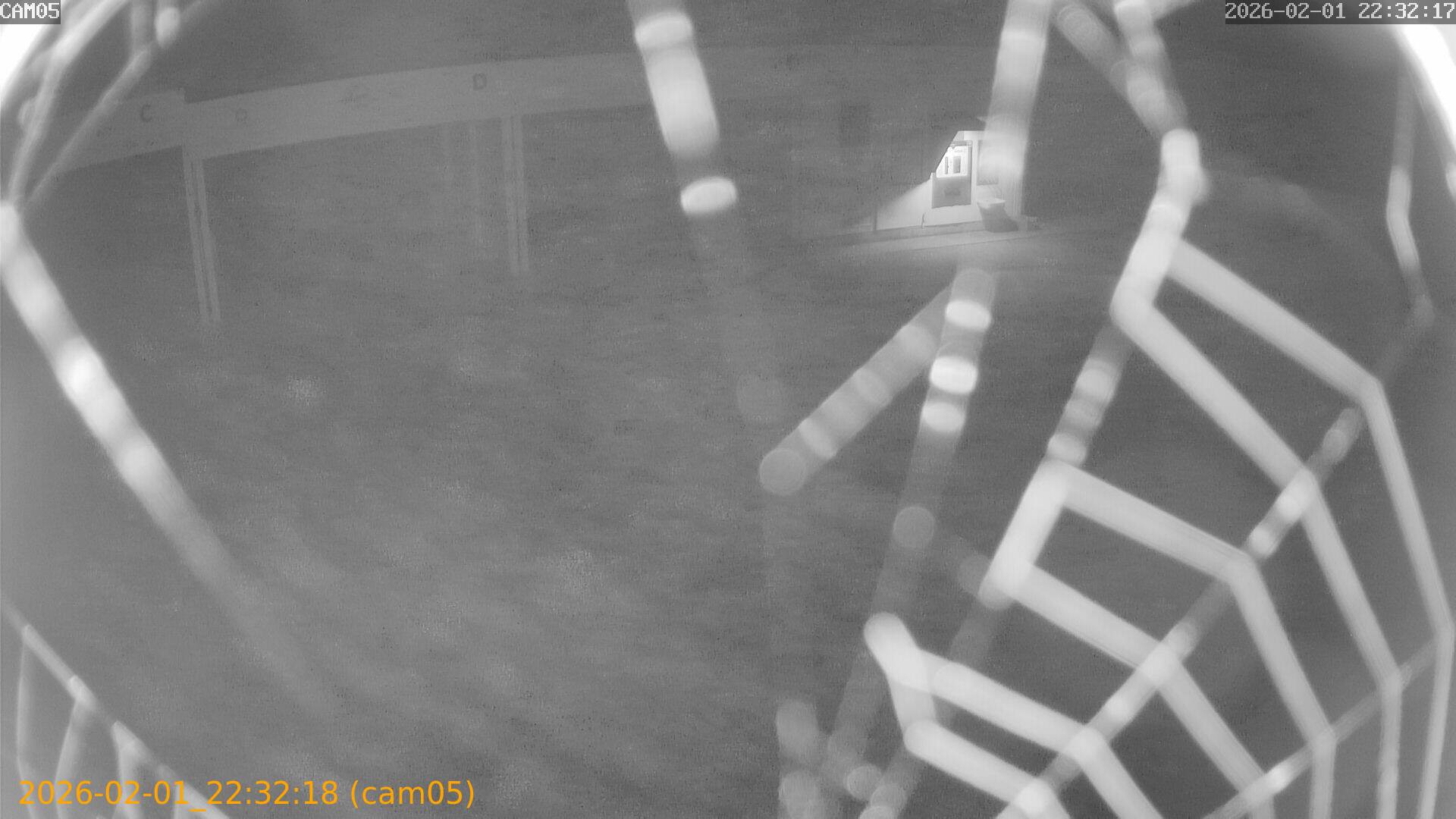 thumbnail_20260201223218