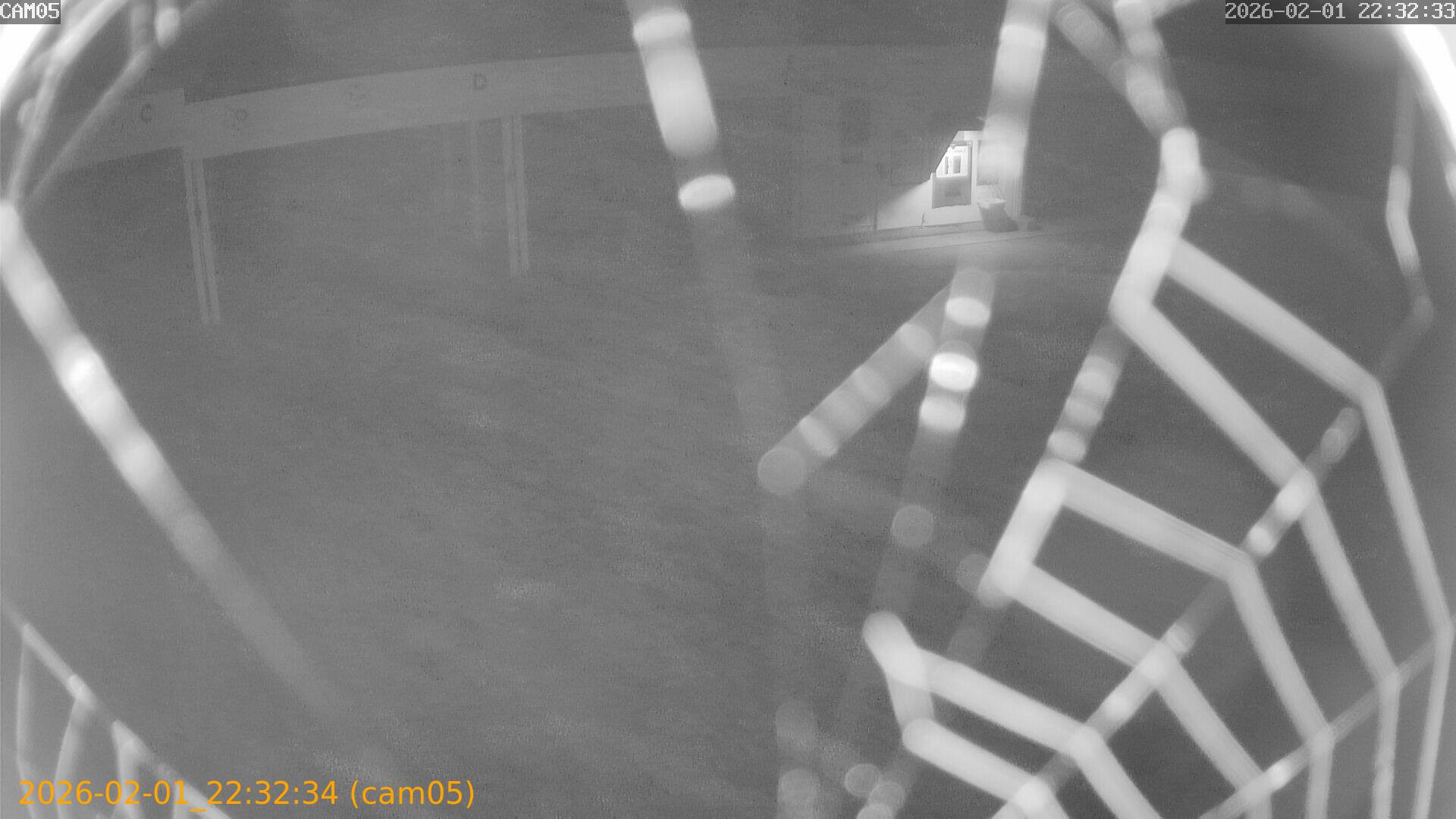 thumbnail_20260201223234