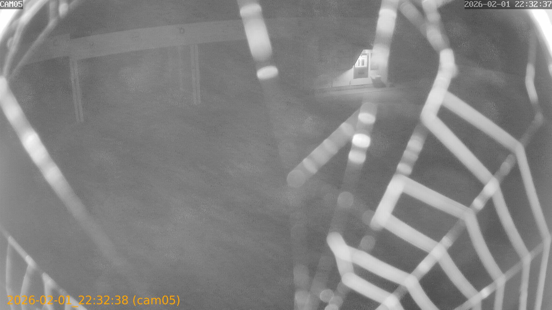 thumbnail_20260201223238