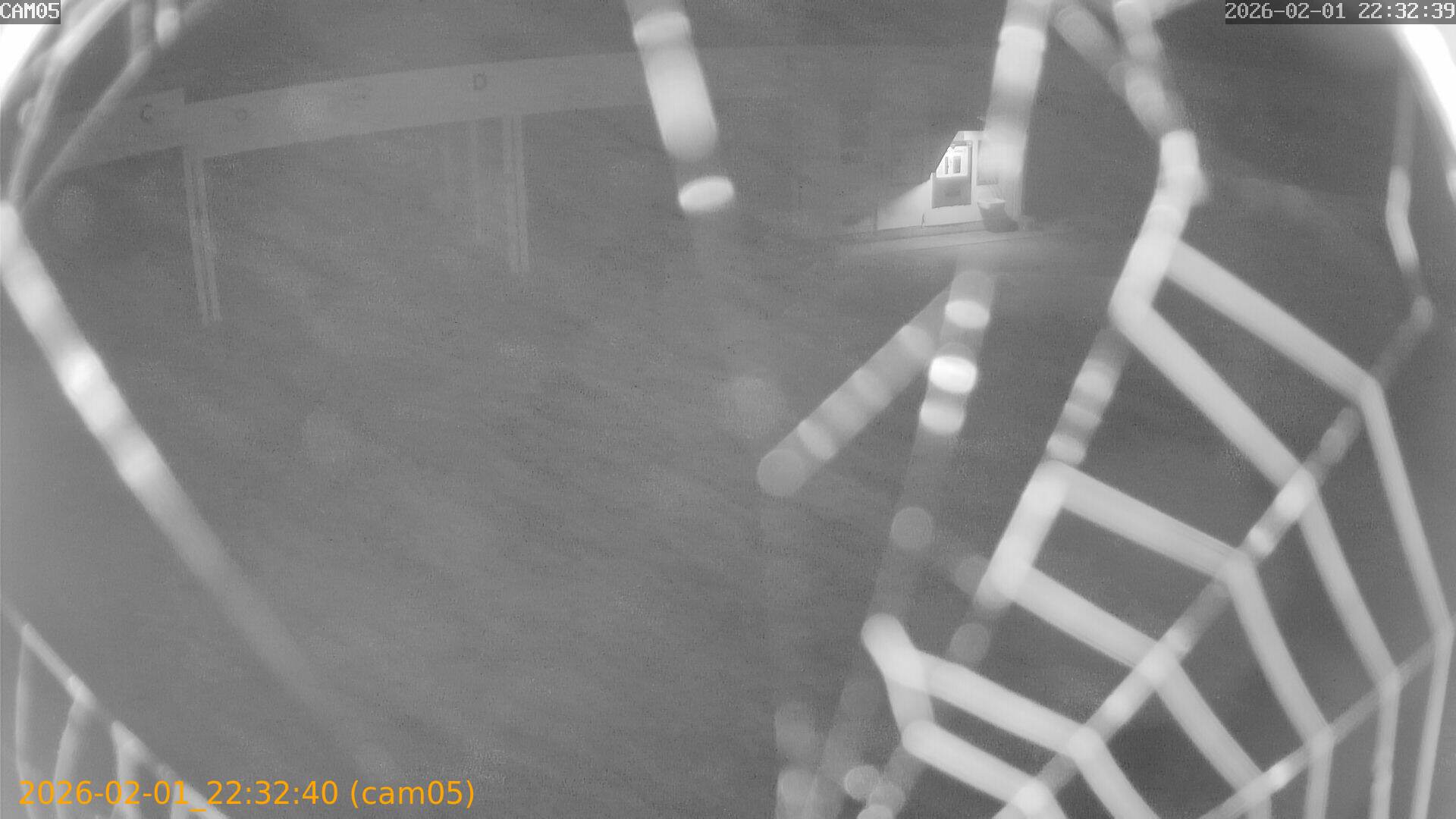 thumbnail_20260201223240