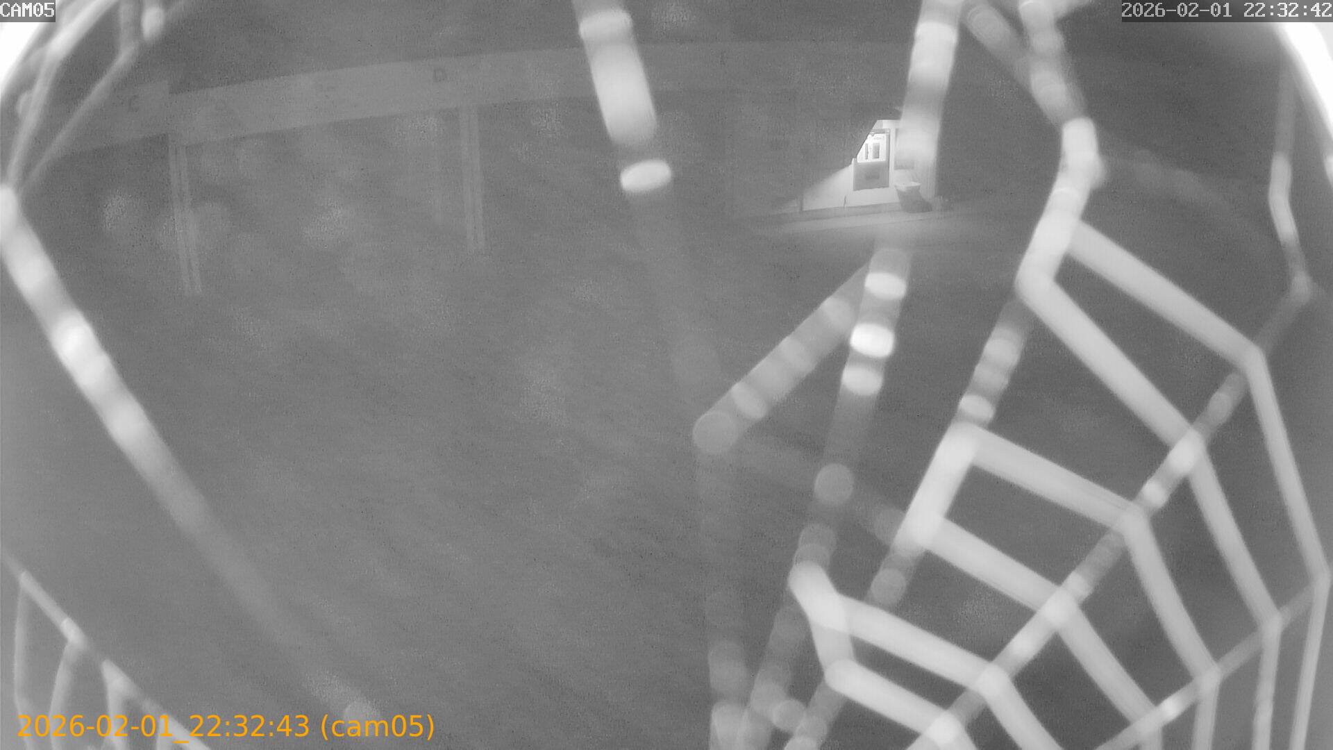 thumbnail_20260201223243