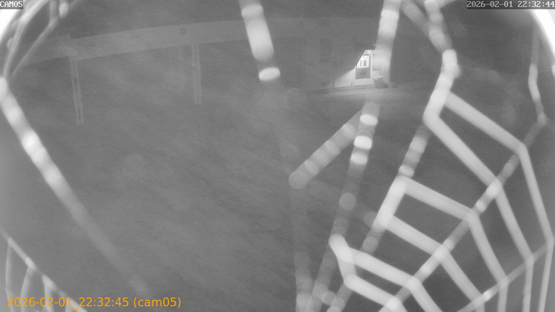 thumbnail_20260201223245