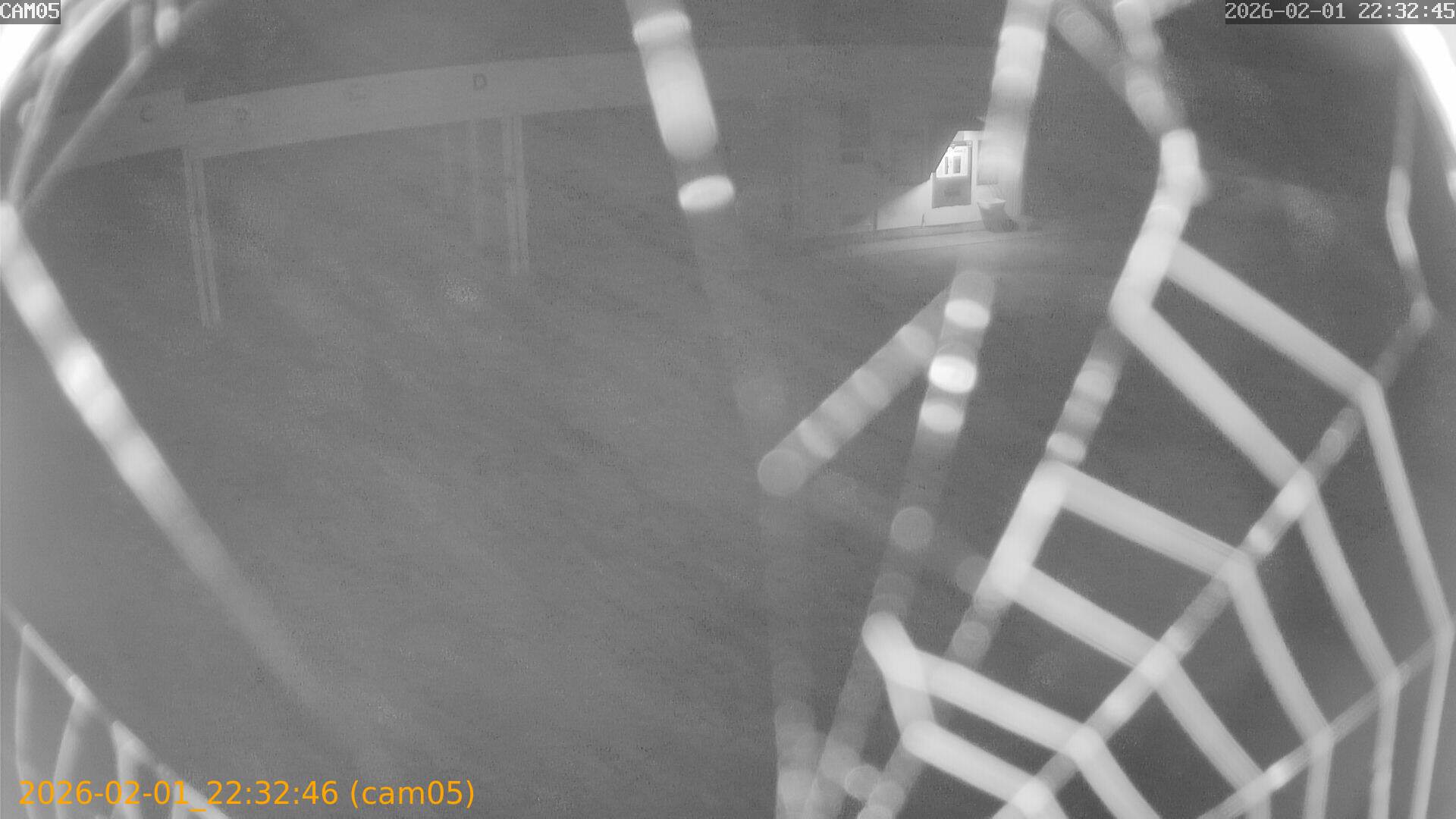 thumbnail_20260201223246