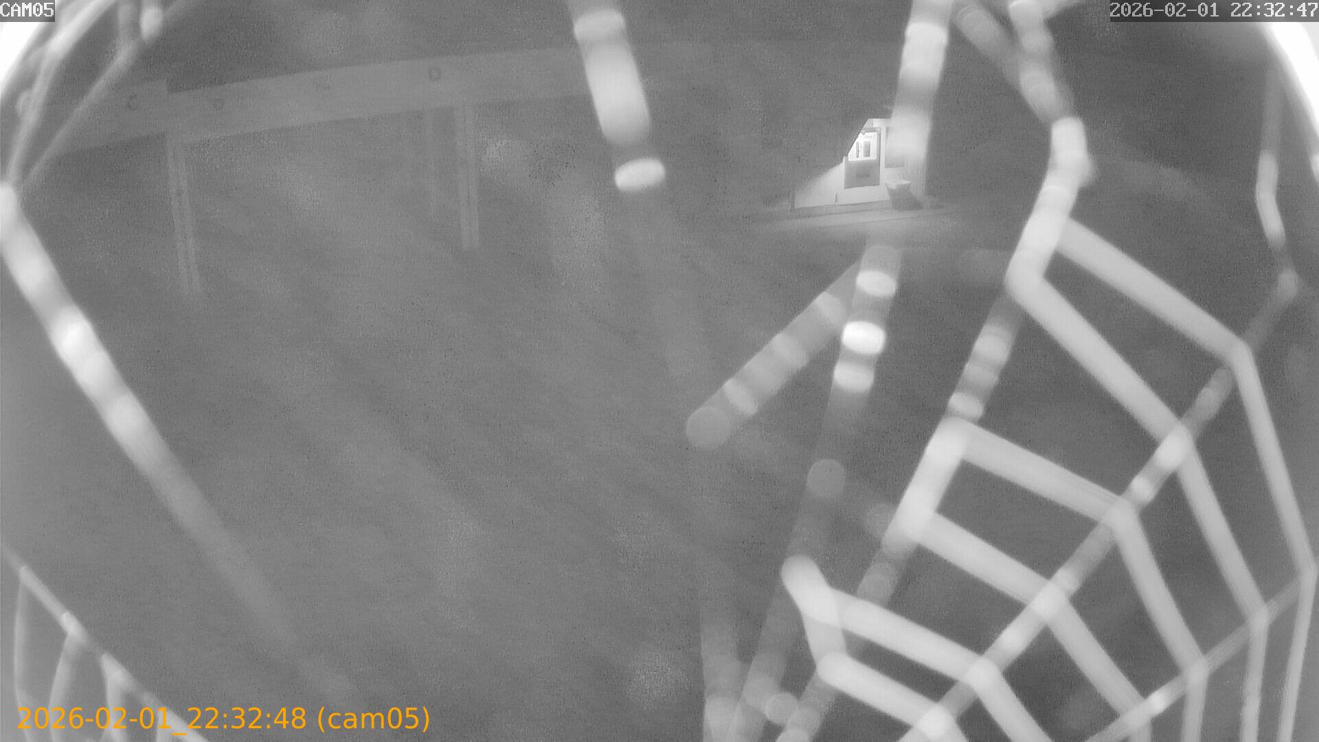 thumbnail_20260201223248