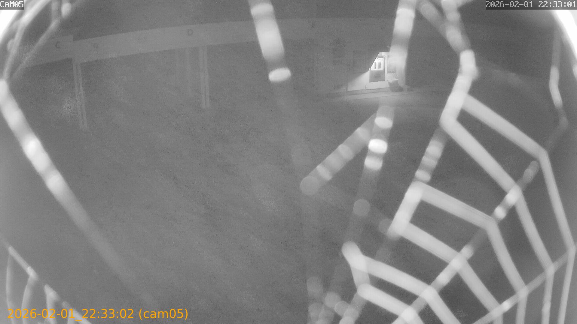 thumbnail_20260201223302