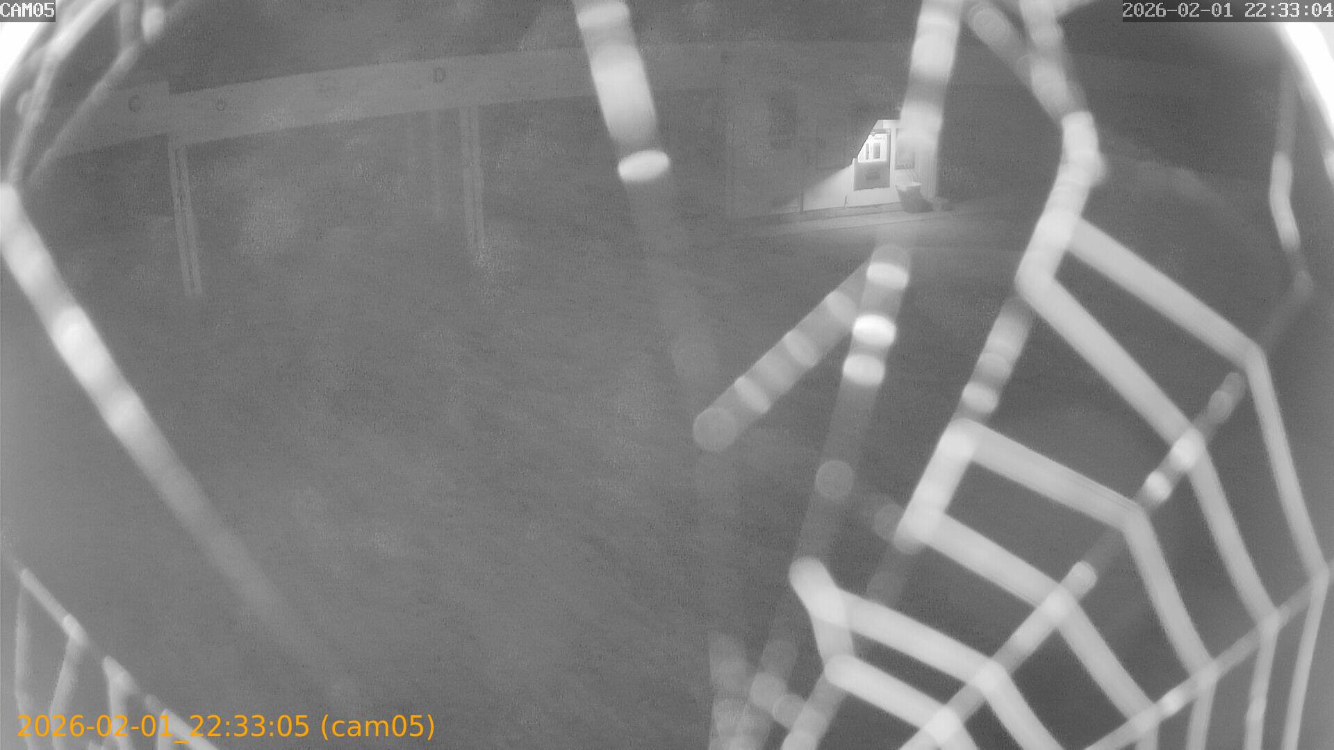 thumbnail_20260201223305