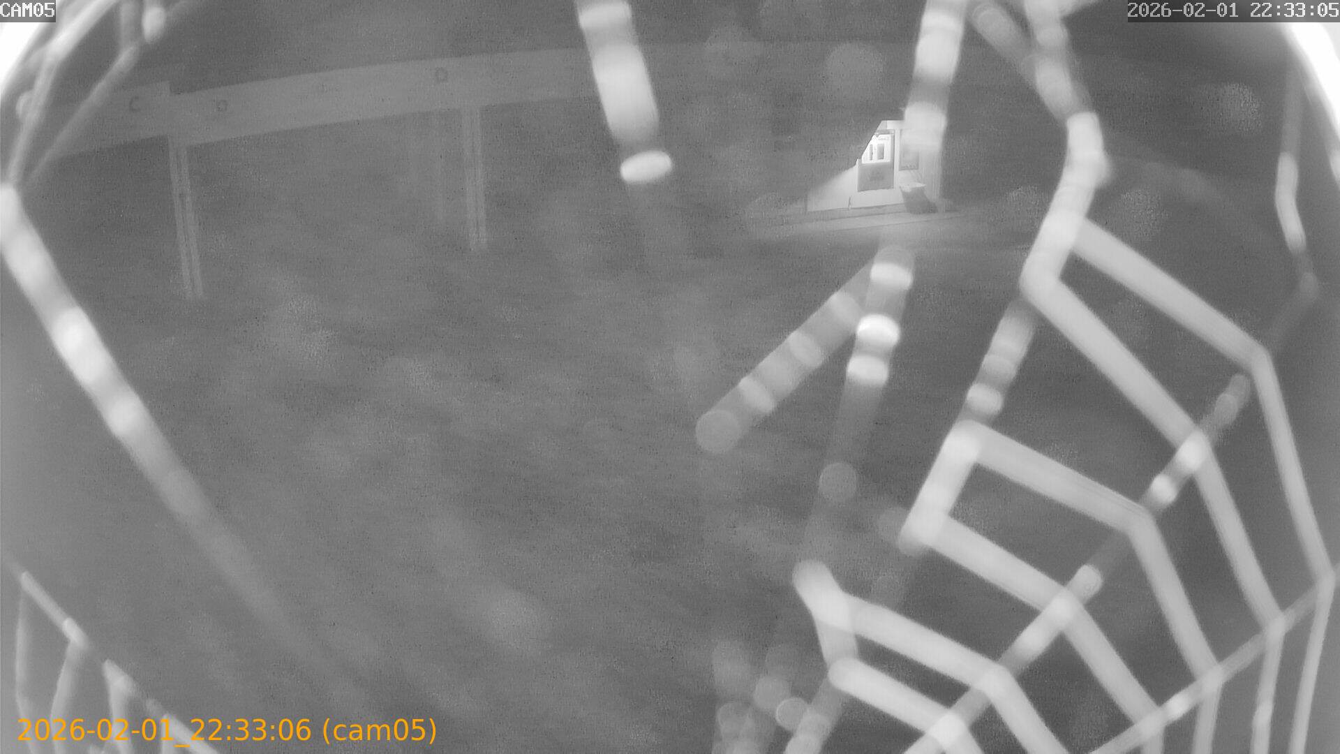 thumbnail_20260201223306