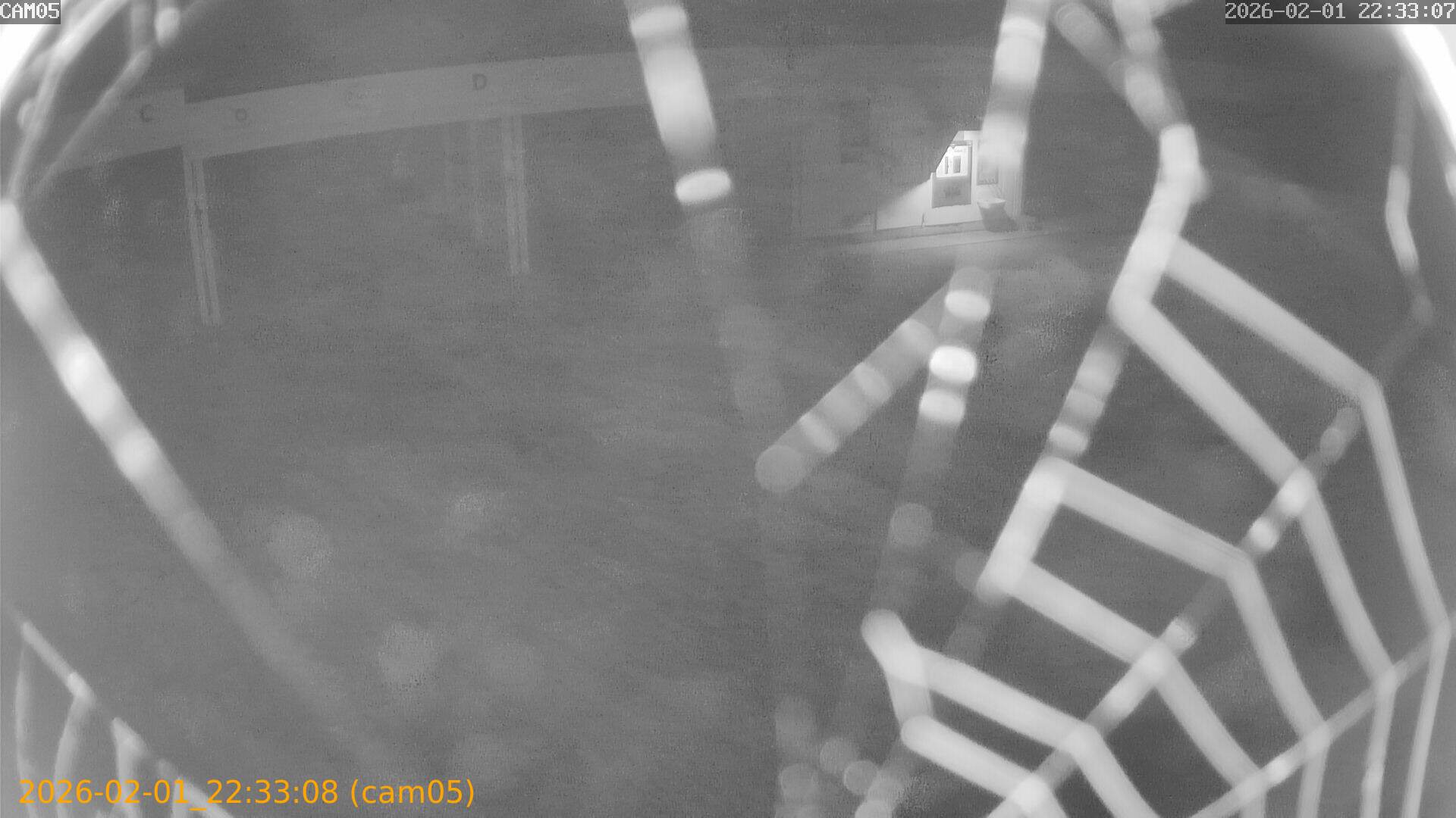 thumbnail_20260201223308