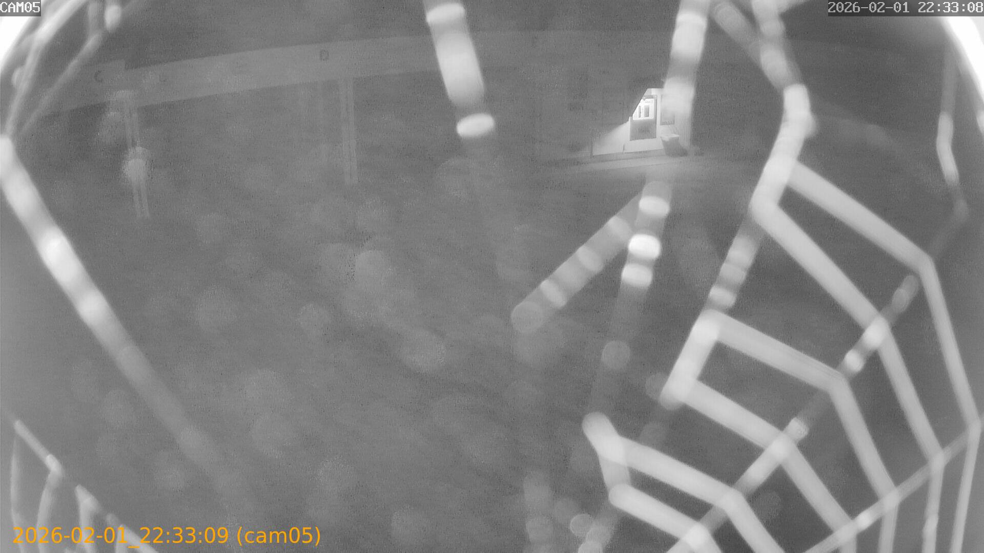 thumbnail_20260201223309