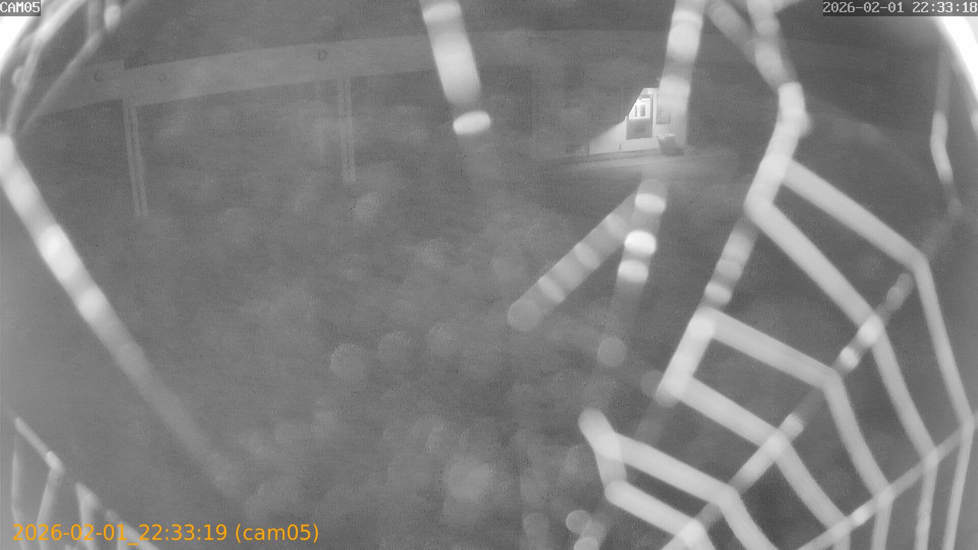 thumbnail_20260201223319