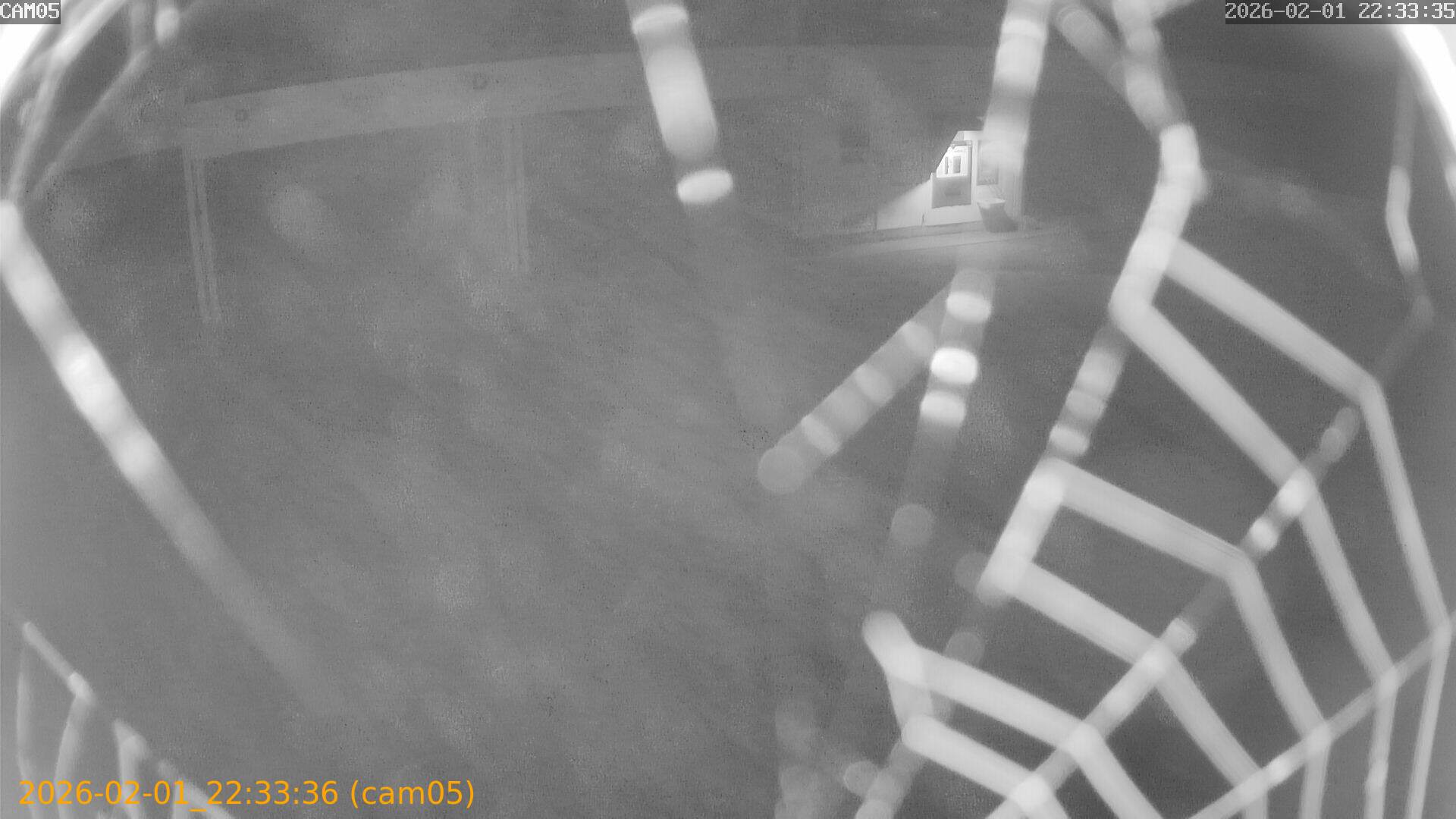 thumbnail_20260201223336