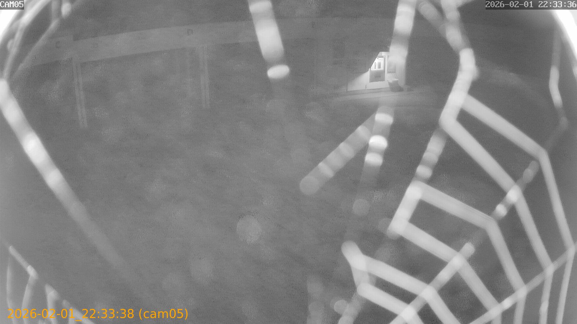 thumbnail_20260201223338