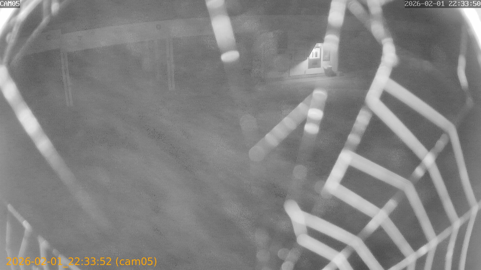 thumbnail_20260201223352