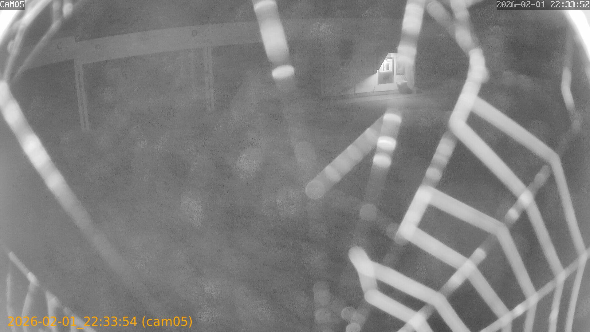 thumbnail_20260201223354