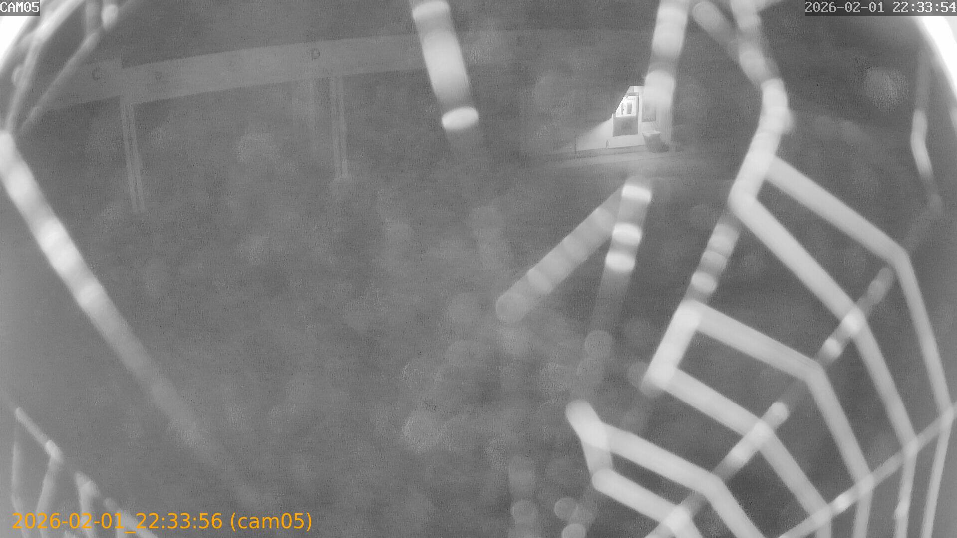 thumbnail_20260201223356