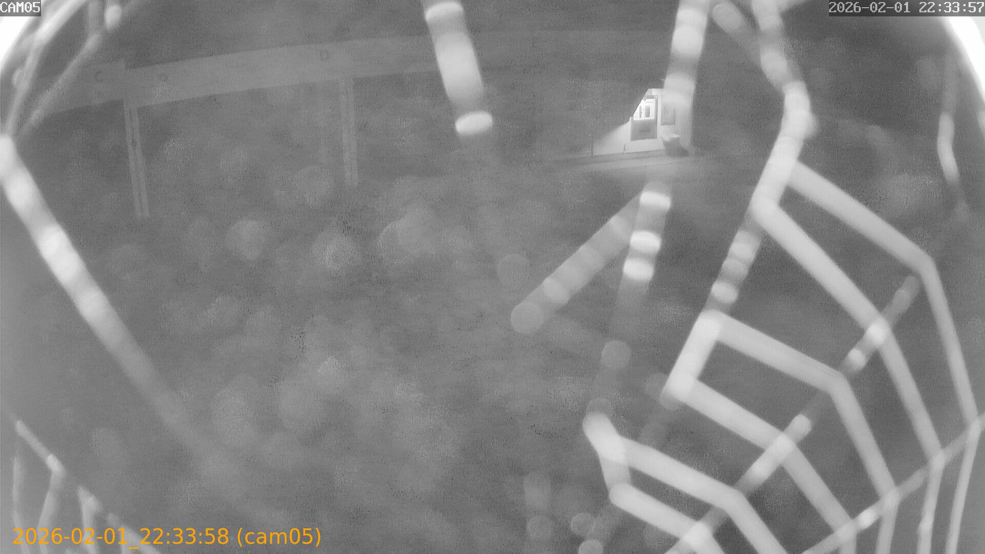 thumbnail_20260201223358