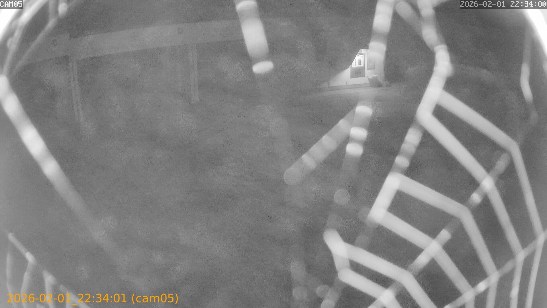 thumbnail_20260201223401