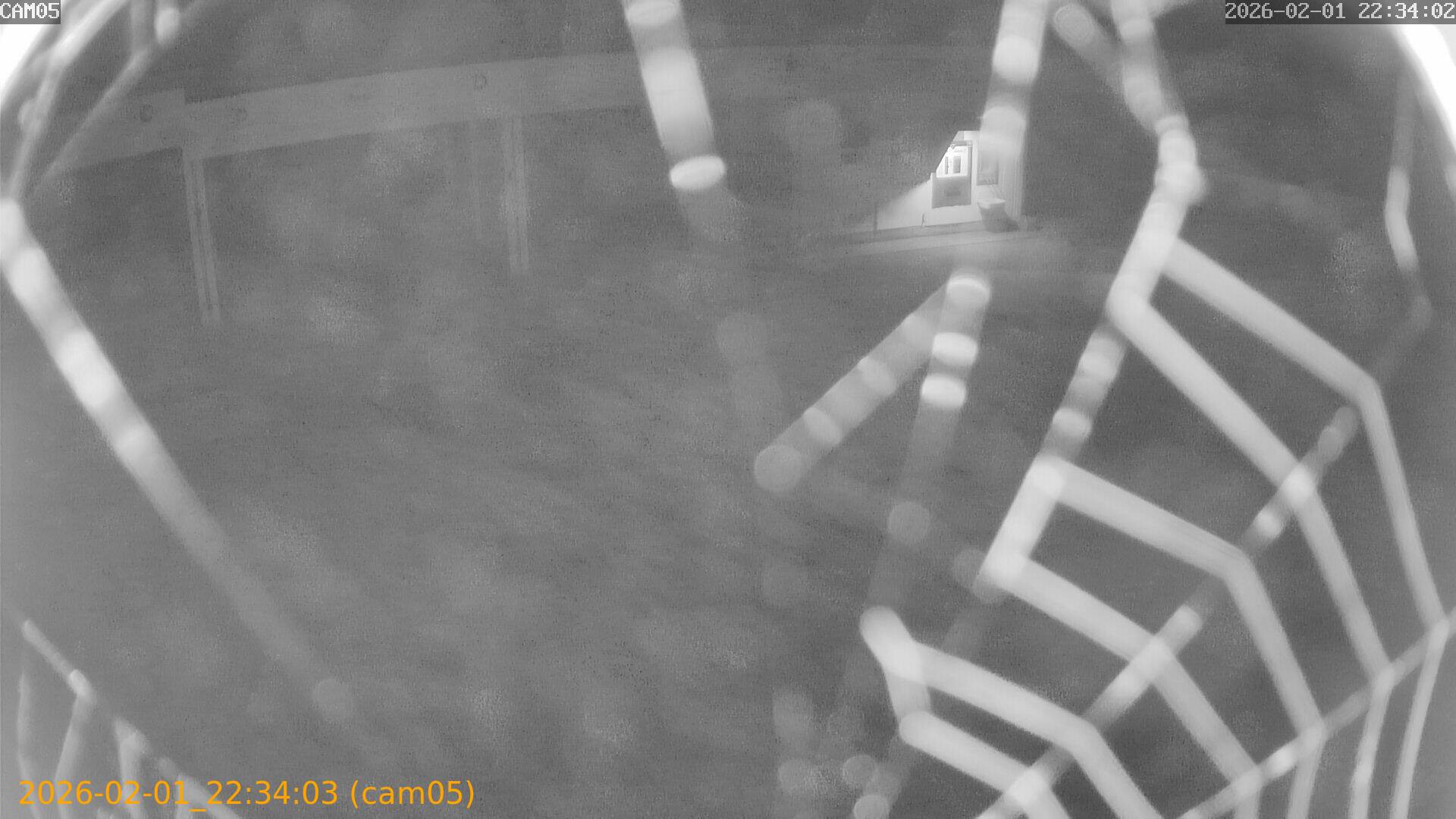 thumbnail_20260201223403