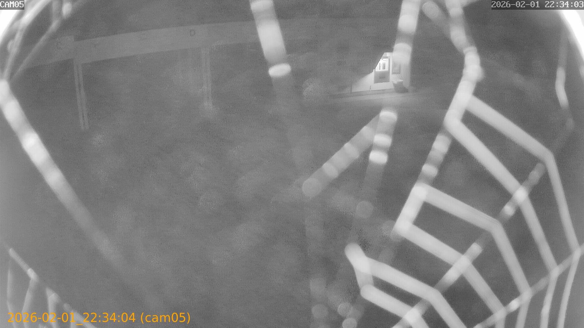 thumbnail_20260201223404