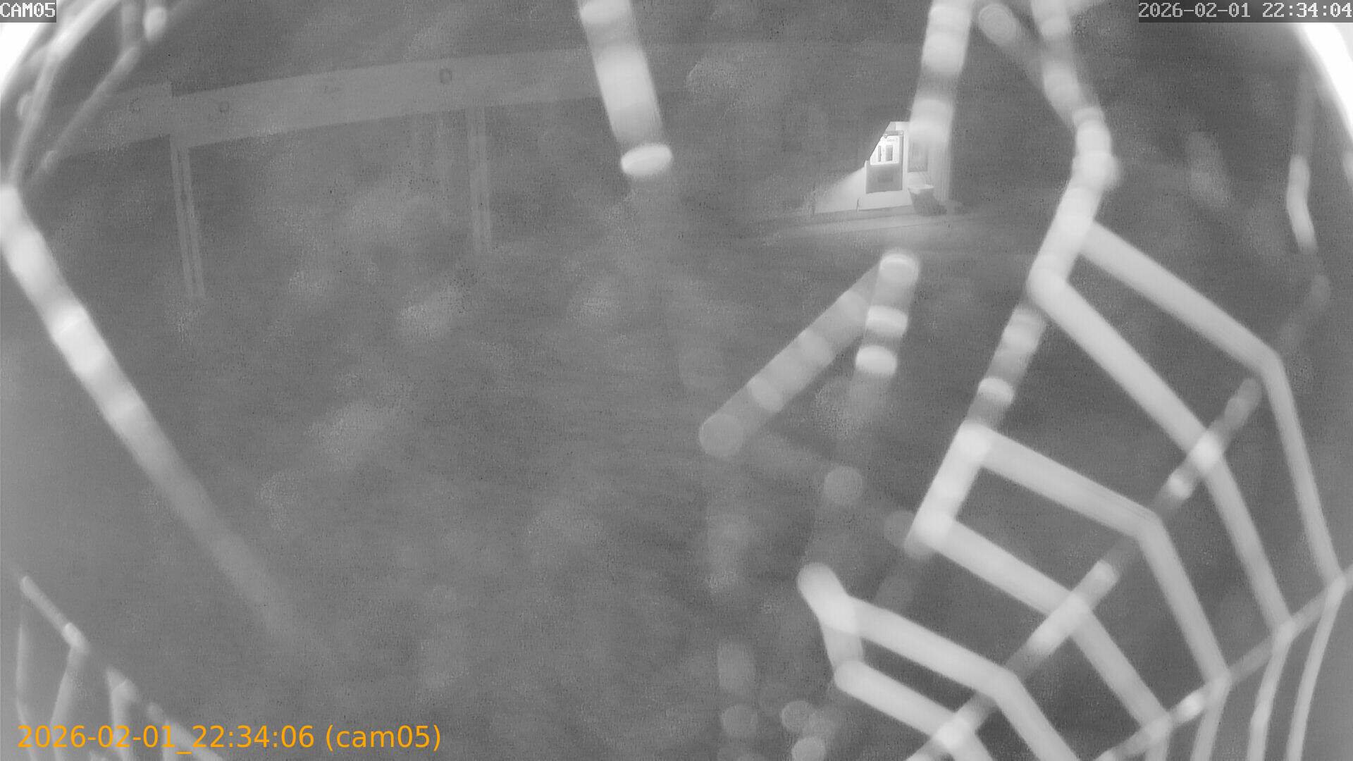 thumbnail_20260201223406