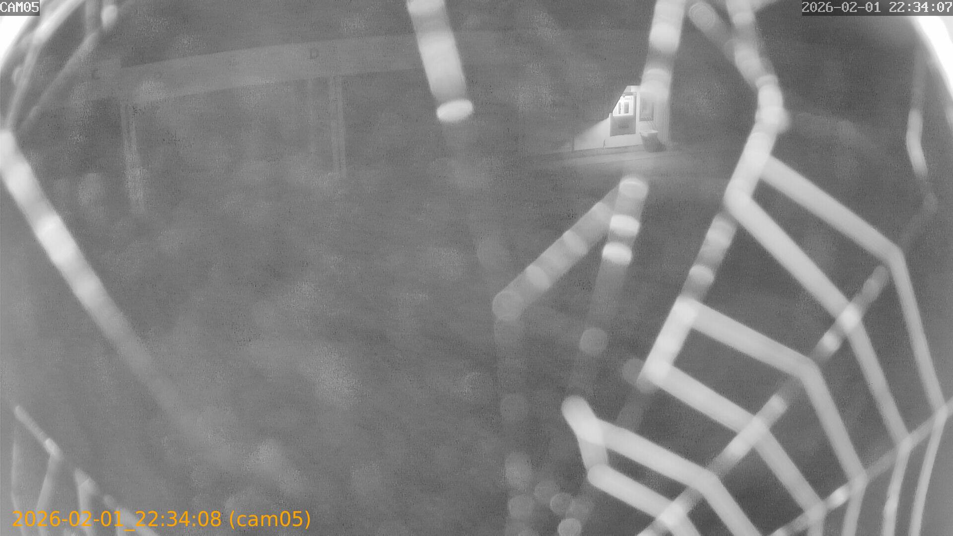 thumbnail_20260201223408