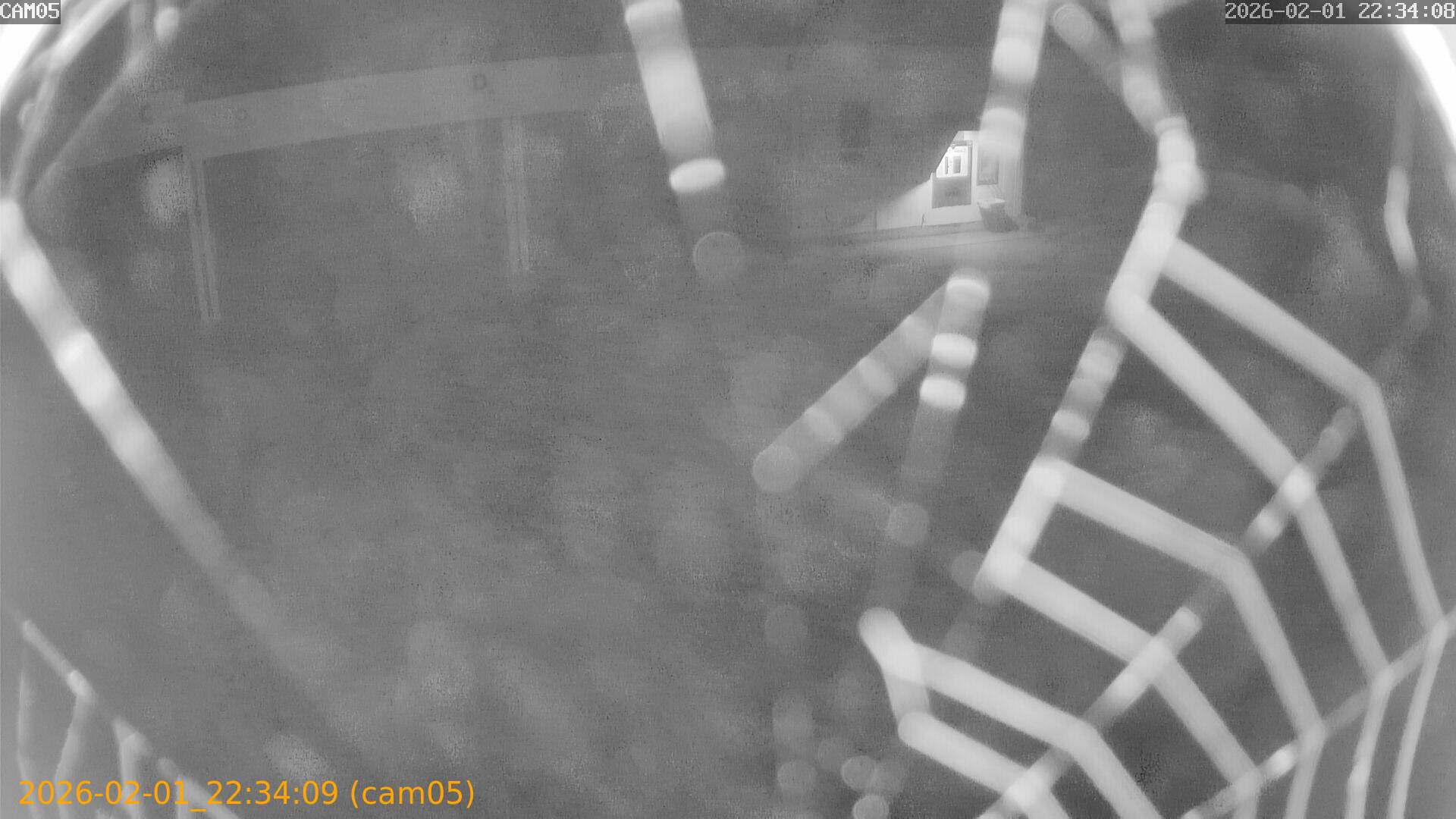 thumbnail_20260201223409