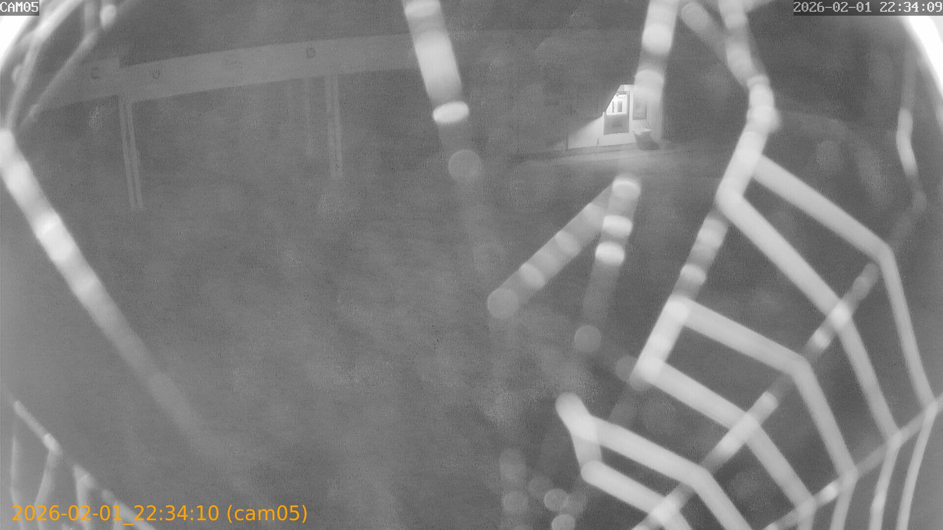 thumbnail_20260201223410