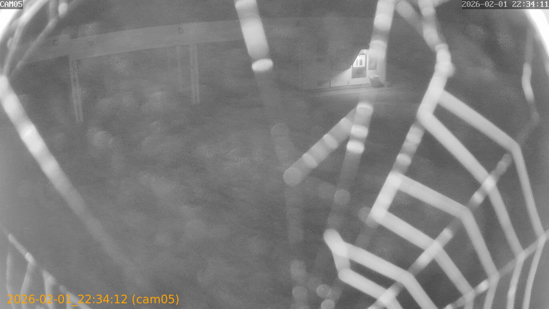 thumbnail_20260201223412