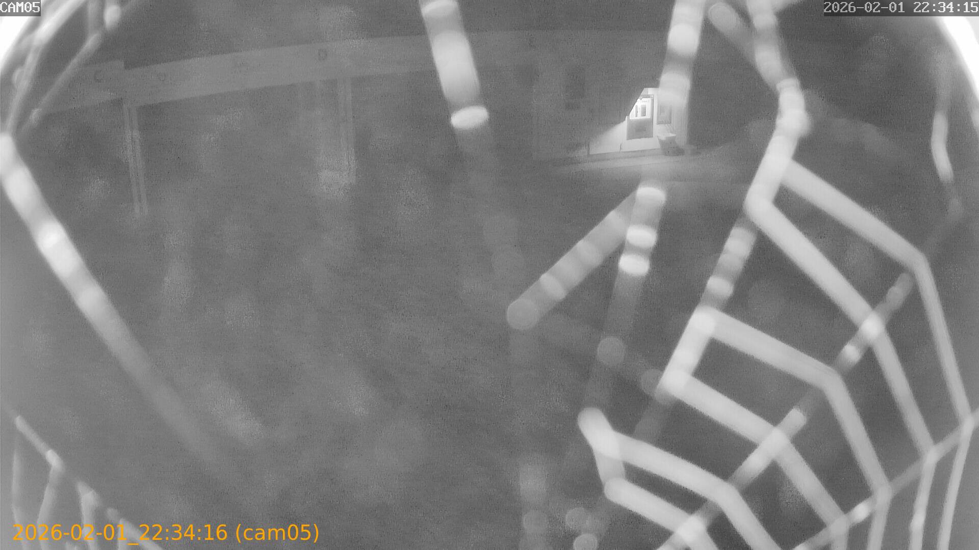 thumbnail_20260201223416