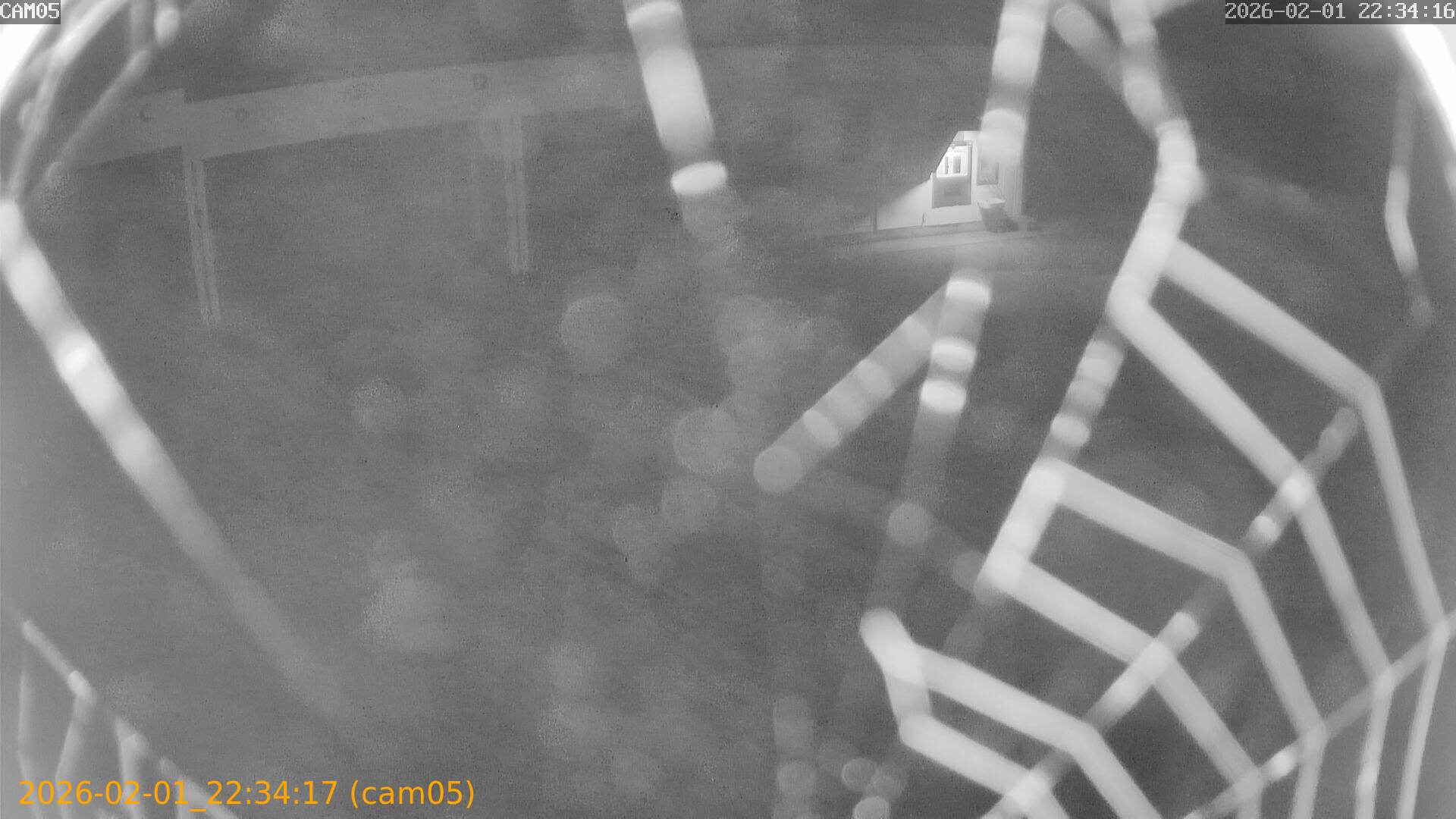 thumbnail_20260201223417