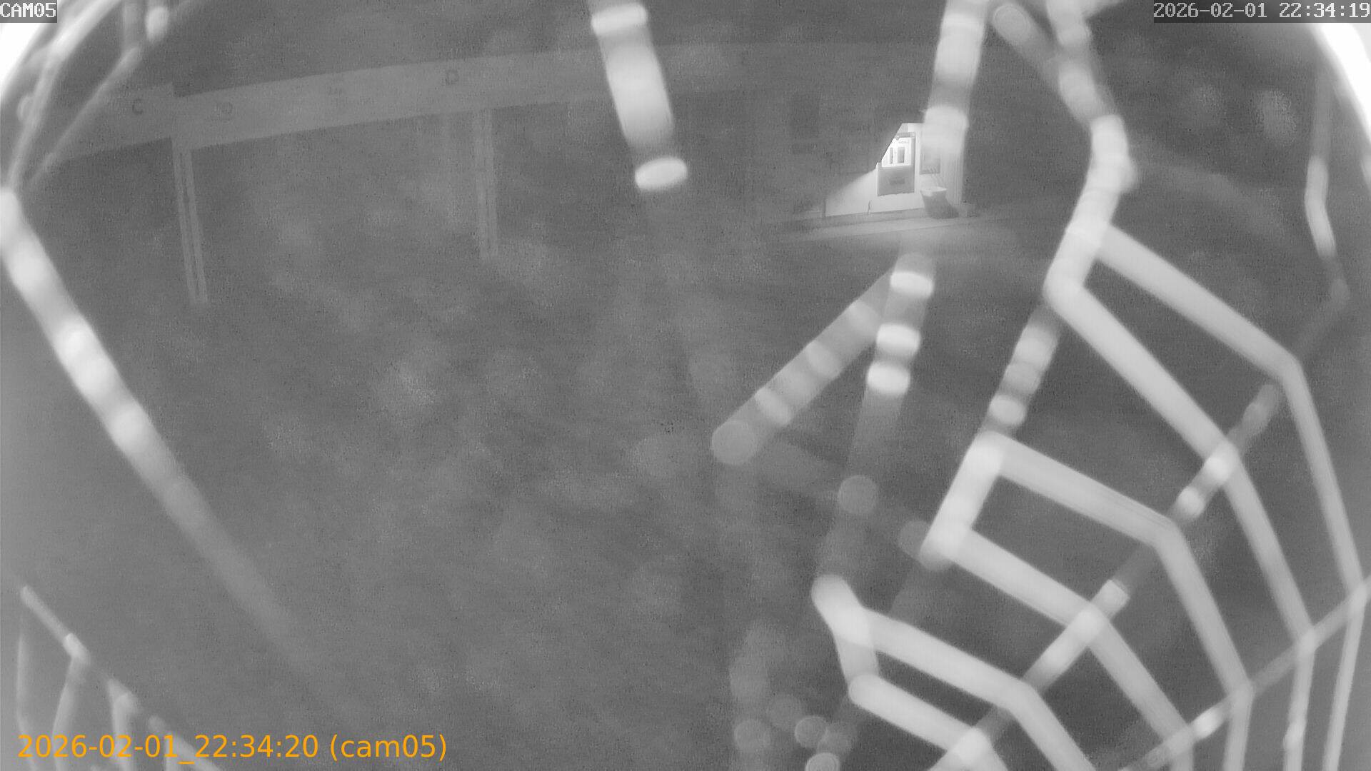 thumbnail_20260201223420