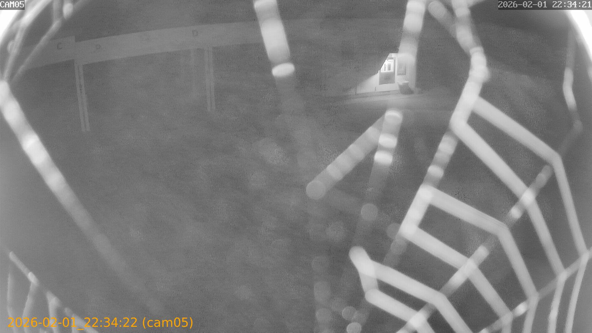 thumbnail_20260201223422